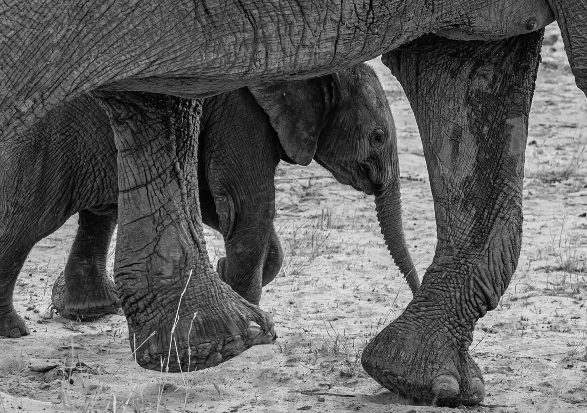 191114-BOTSWANA-119.jpeg