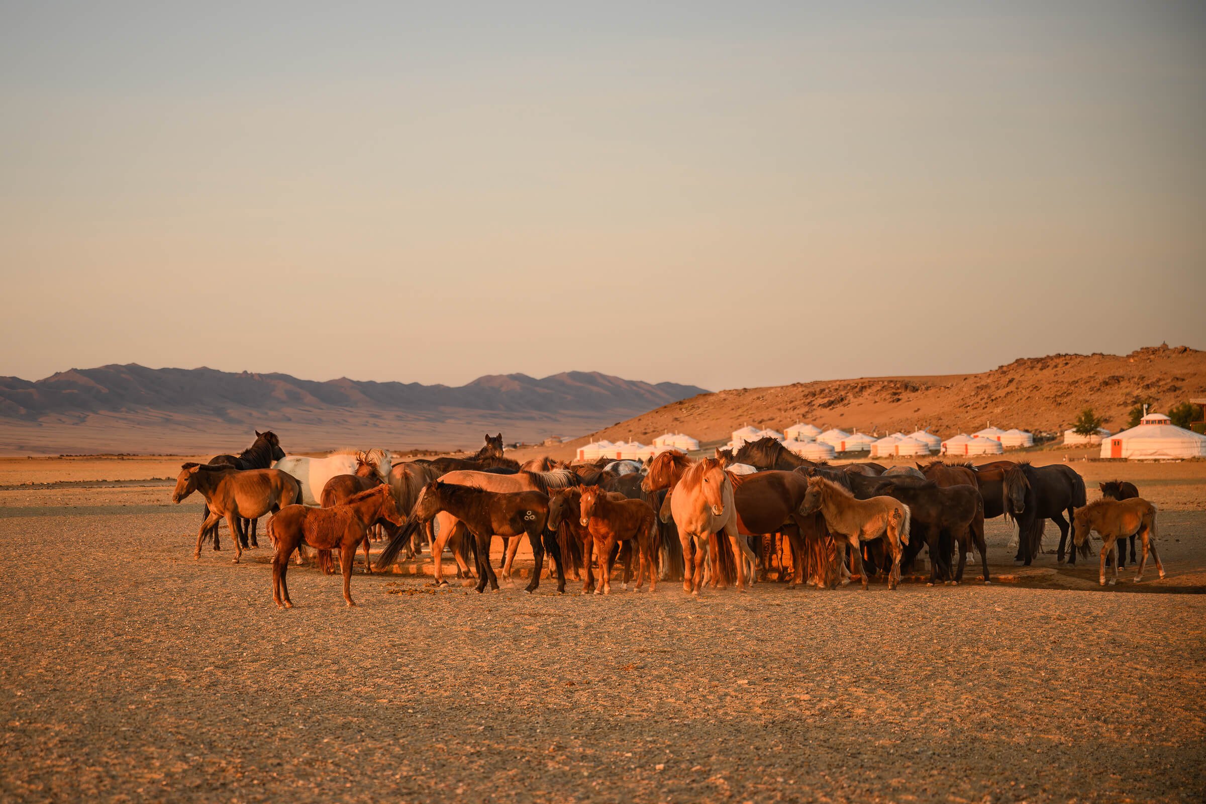 190922-MONGOLIA-2-422.jpg