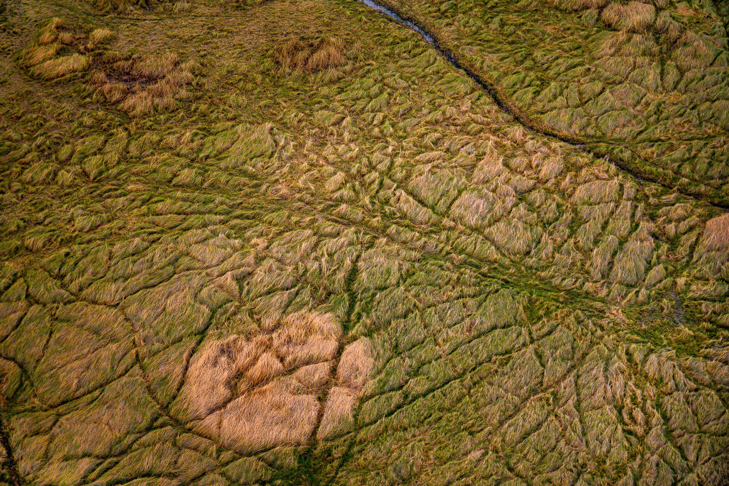 191114-BOTSWANA-556.jpg
