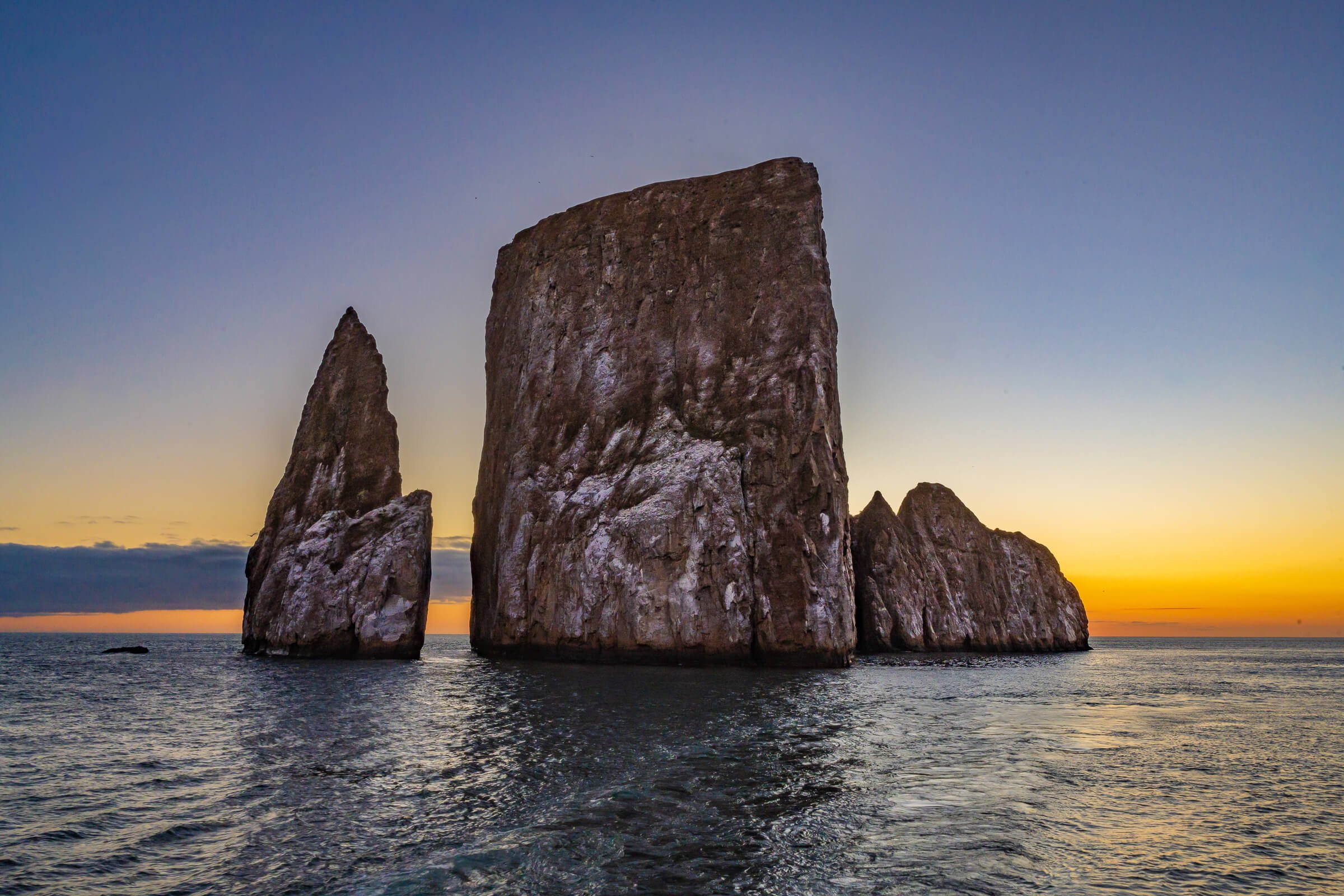 190702-GALAPAGOS-772.jpg