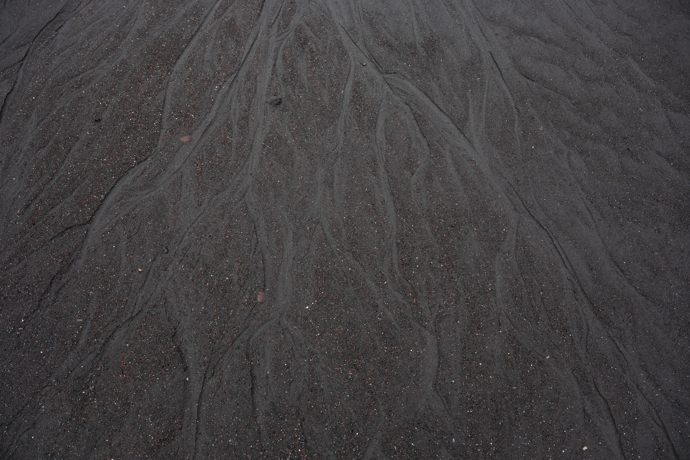 DSC_4862.jpg