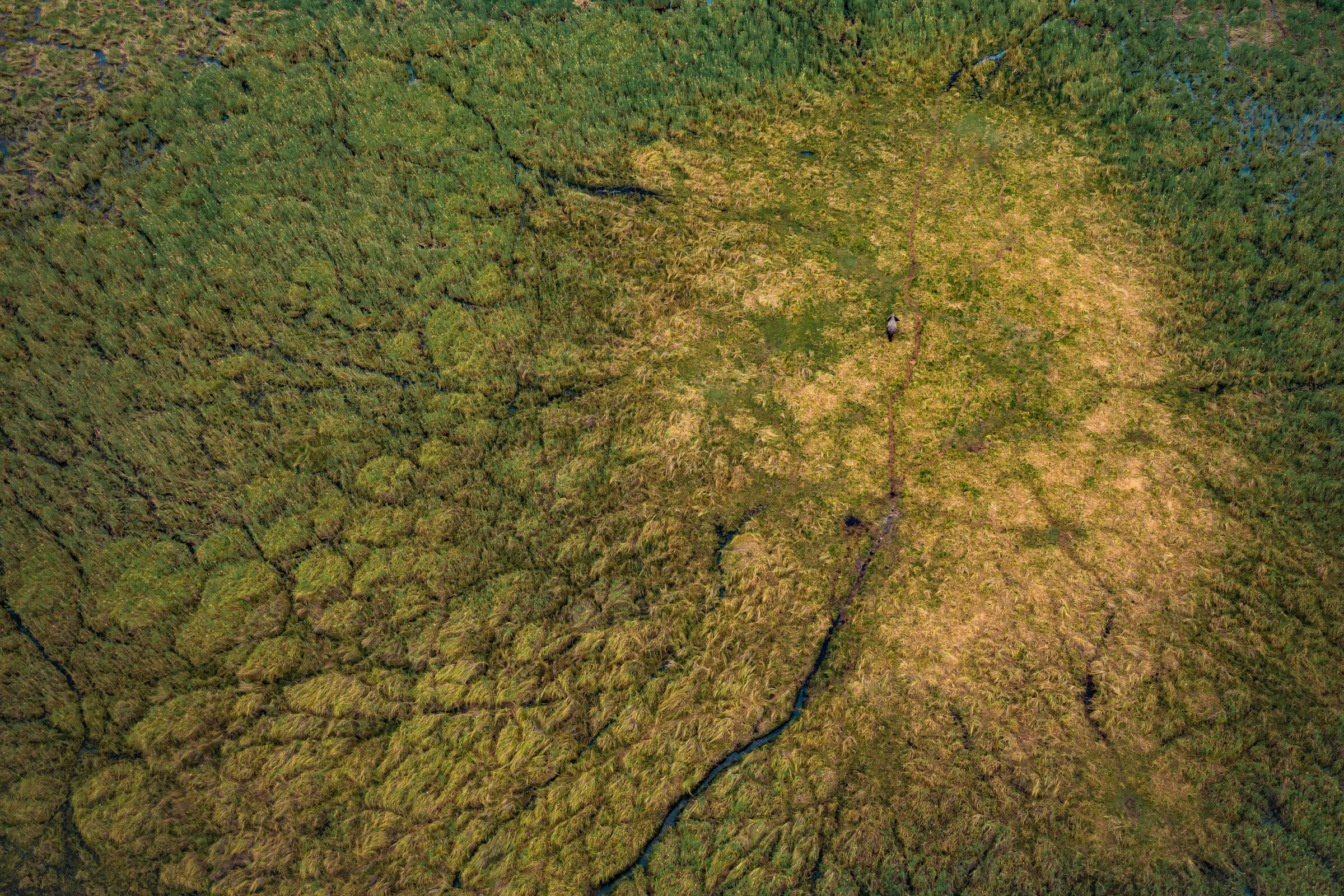 191114-BOTSWANA-612.jpg