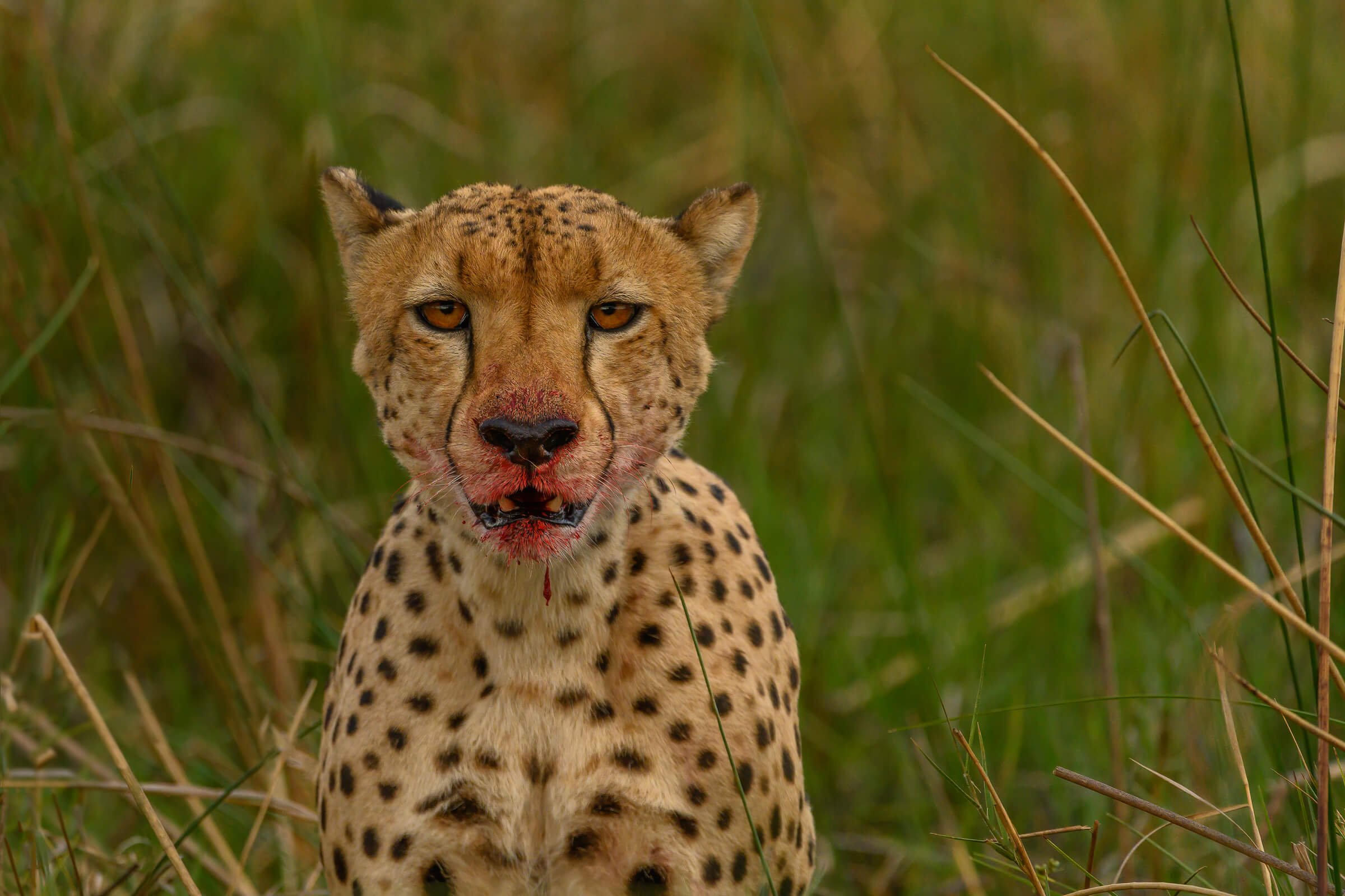 191114-BOTSWANA-1073.jpg