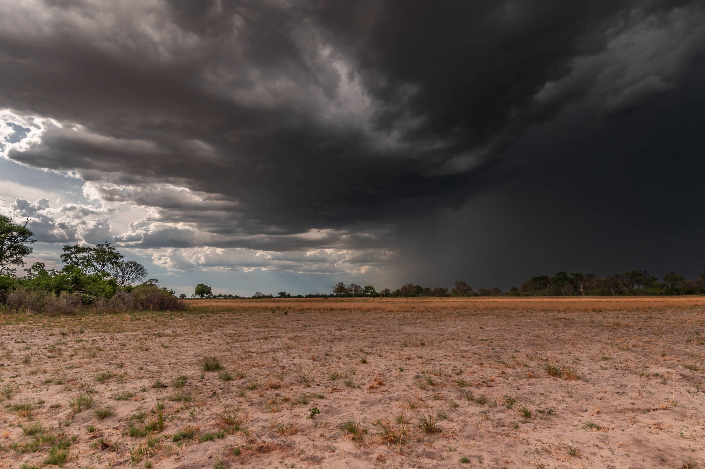 191115-BOTSWANA 2-2.jpg