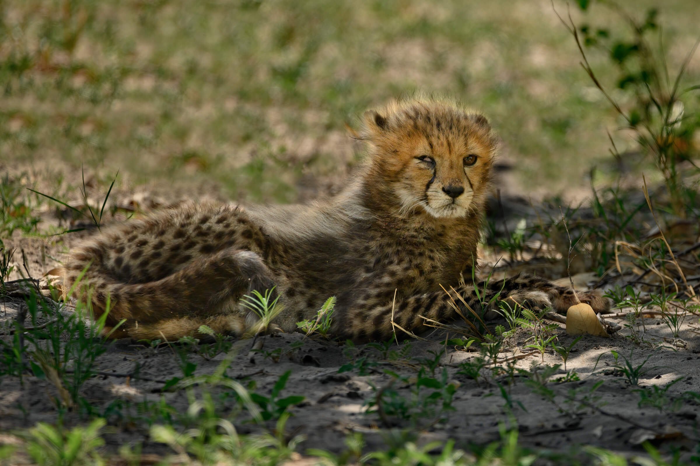 191114-BOTSWANA-403.jpg