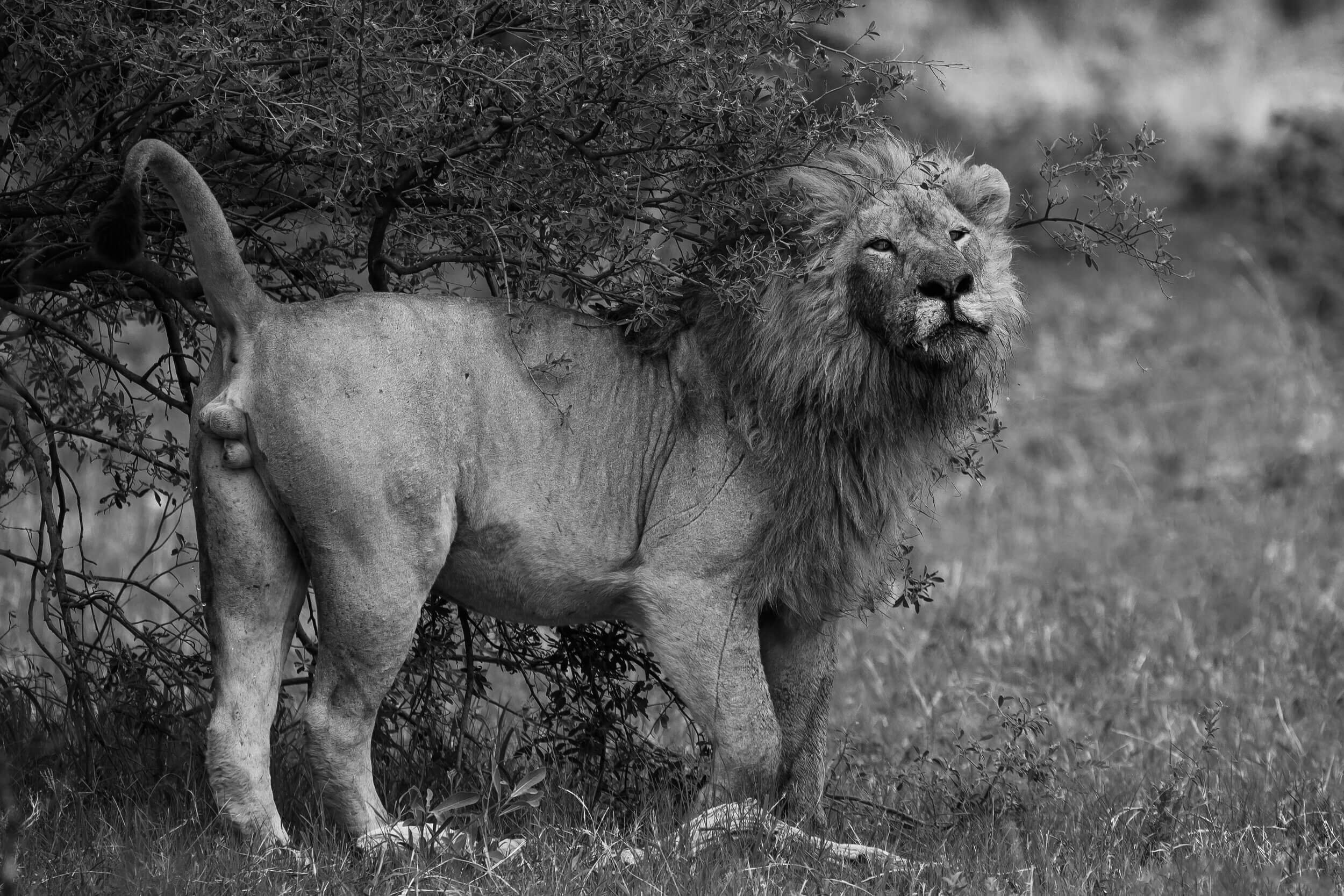 191114-BOTSWANA-187.jpeg