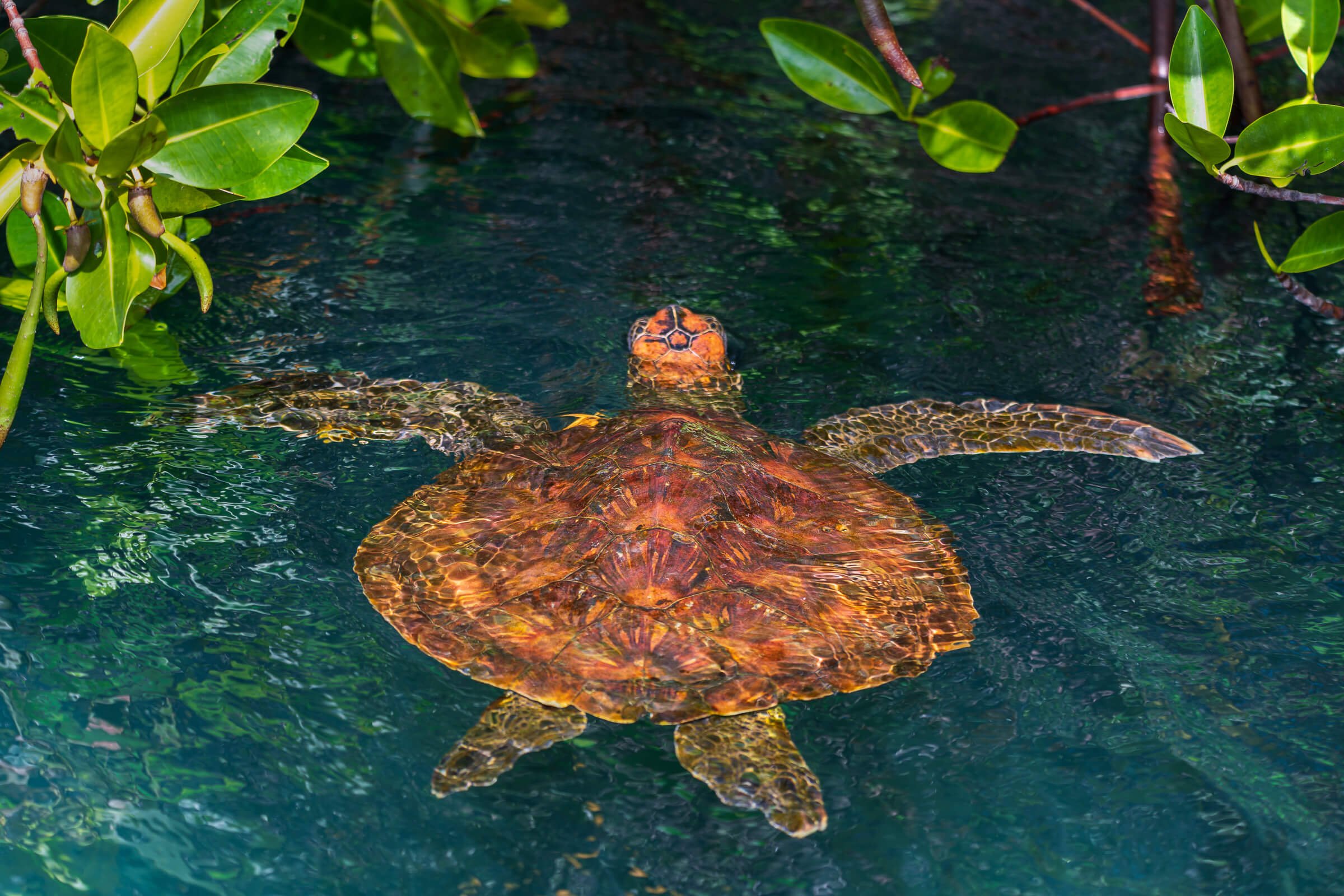 190702-GALAPAGOS-621.jpg