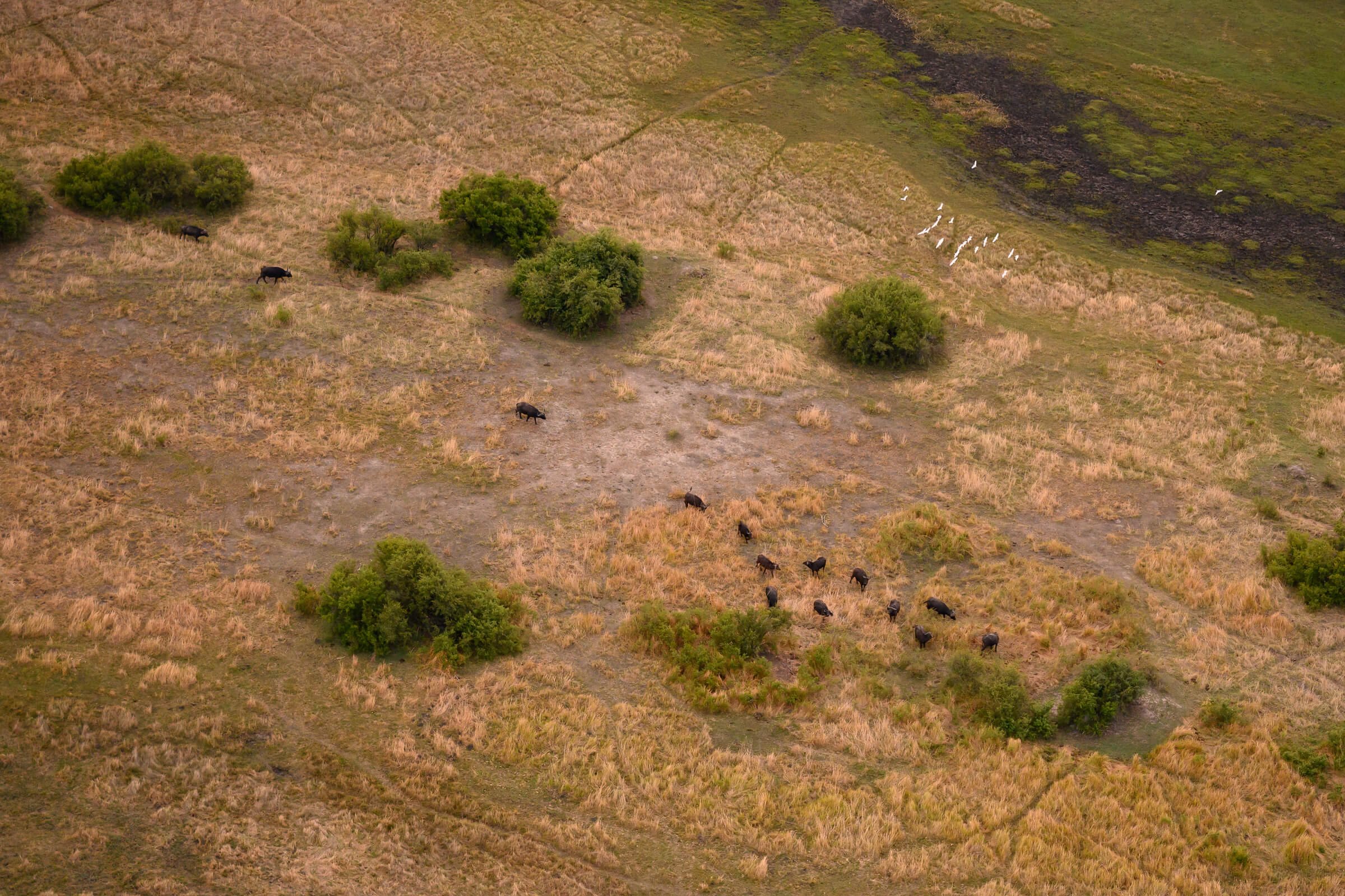191115-BOTSWANA 2-320.jpg