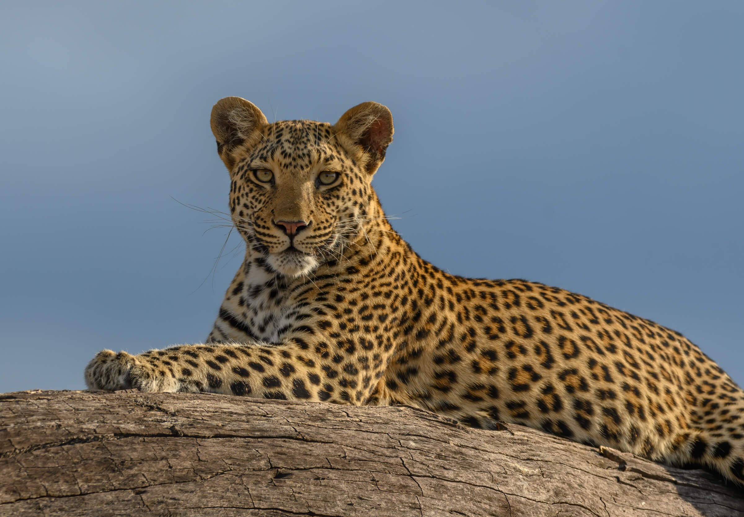 191114-BOTSWANA-140.jpg
