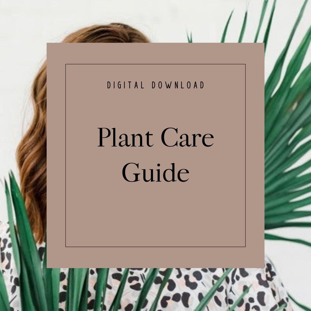 Plant Care Guide PDF