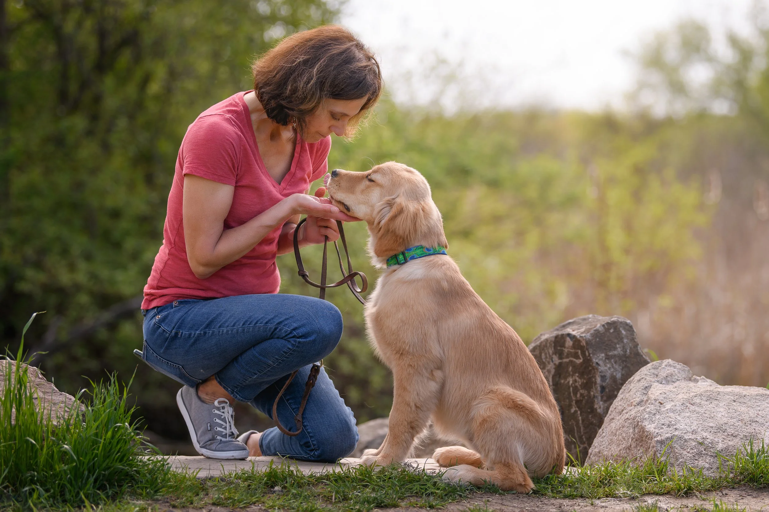 A woman kneeling outdoors, holding a leash, while a golden retriever puppy sits on the ground. The woman is gently touching the puppy's nose in a grassy area with rocks and trees in the background during daytime.
