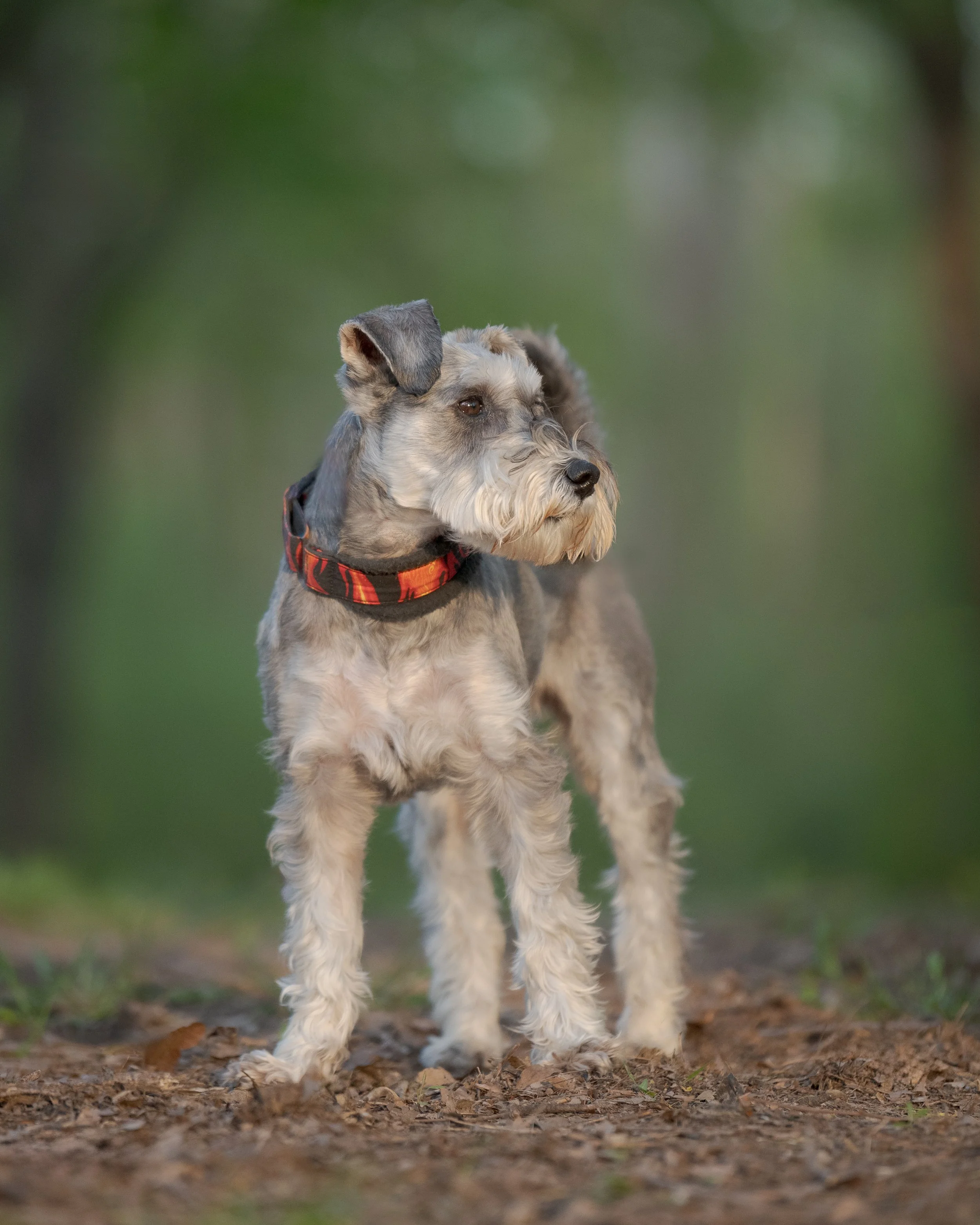 Stephanie Lynne Photography-0035-Edit-Edit copy.jpg