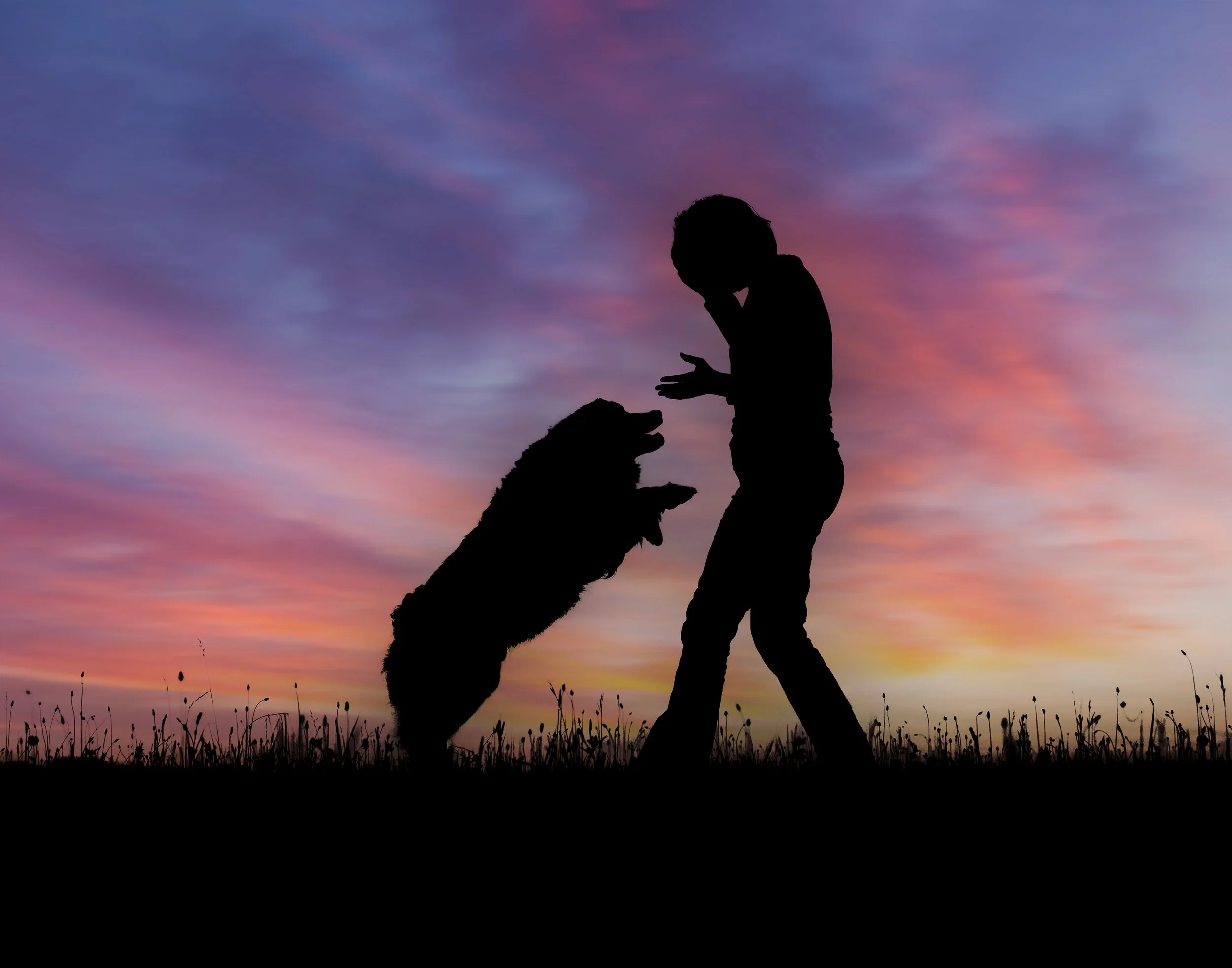 Stephanie Lynne Photography-0786-Edit-Edit copy.jpg