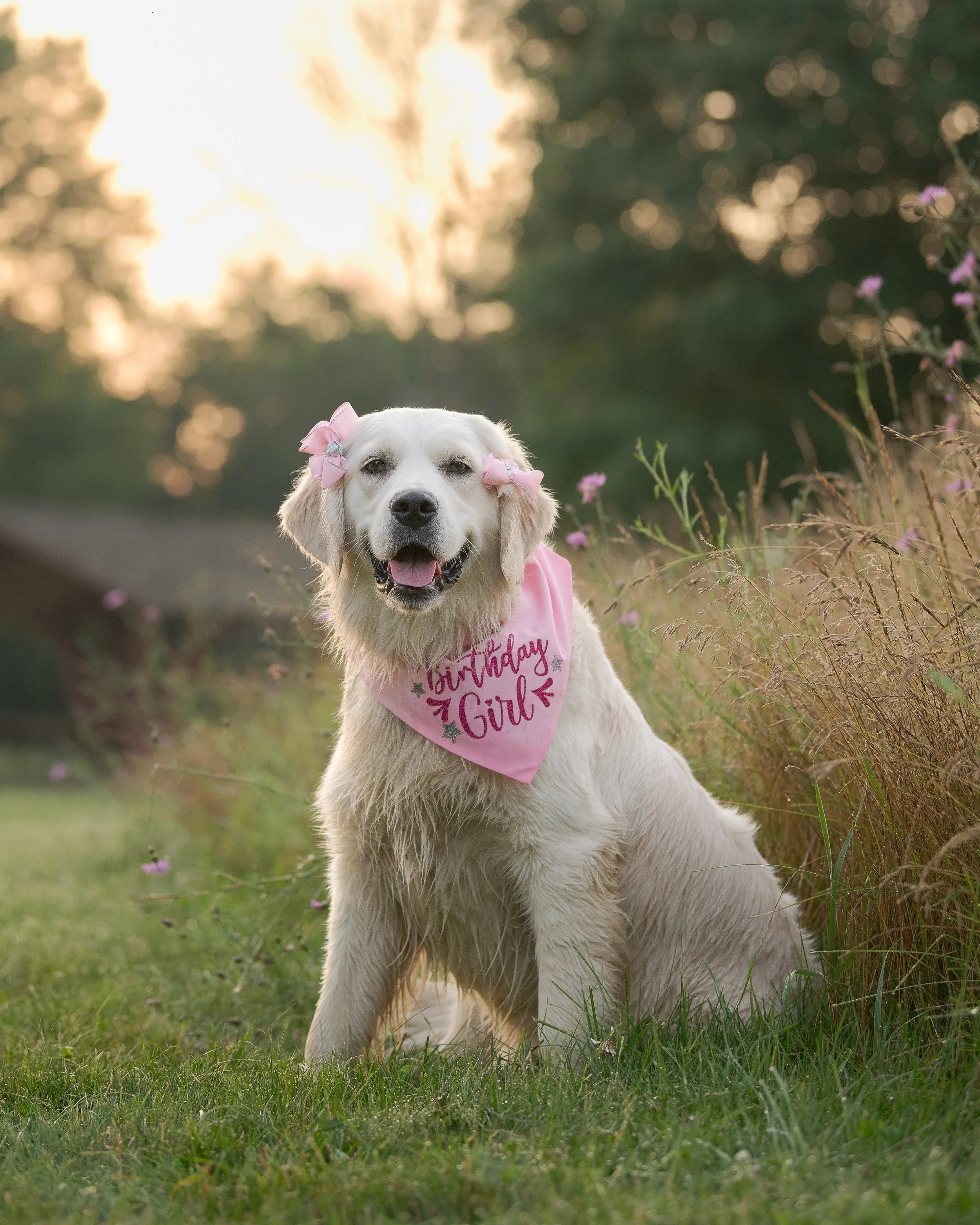 Stephanie Lynne Photography-1792-Edit copy.jpg