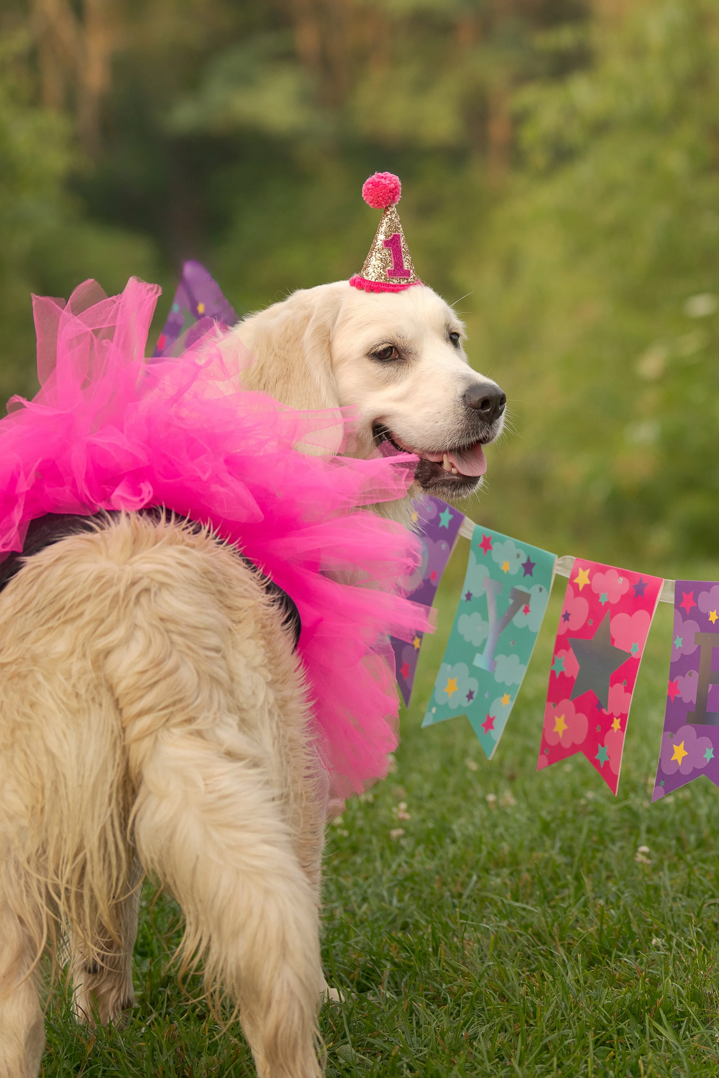 Stephanie Lynne Photography-1892-Edit copy.jpg