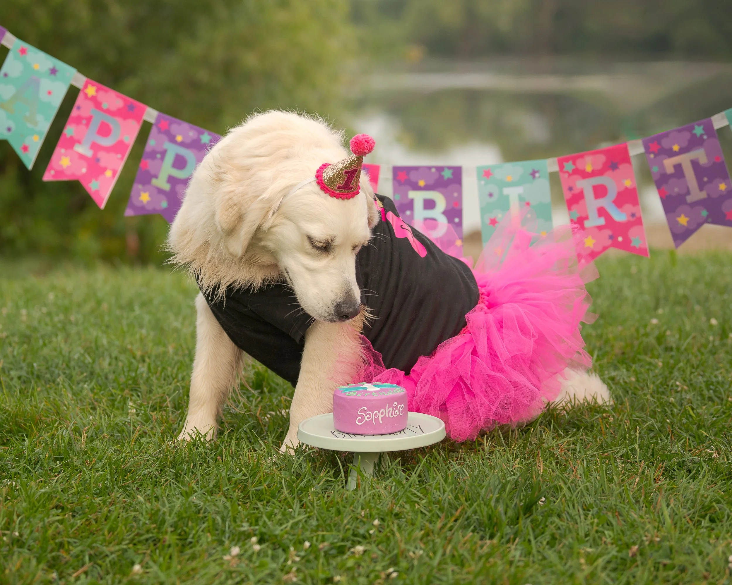 Stephanie Lynne Photography-1875-Edit copy.jpg