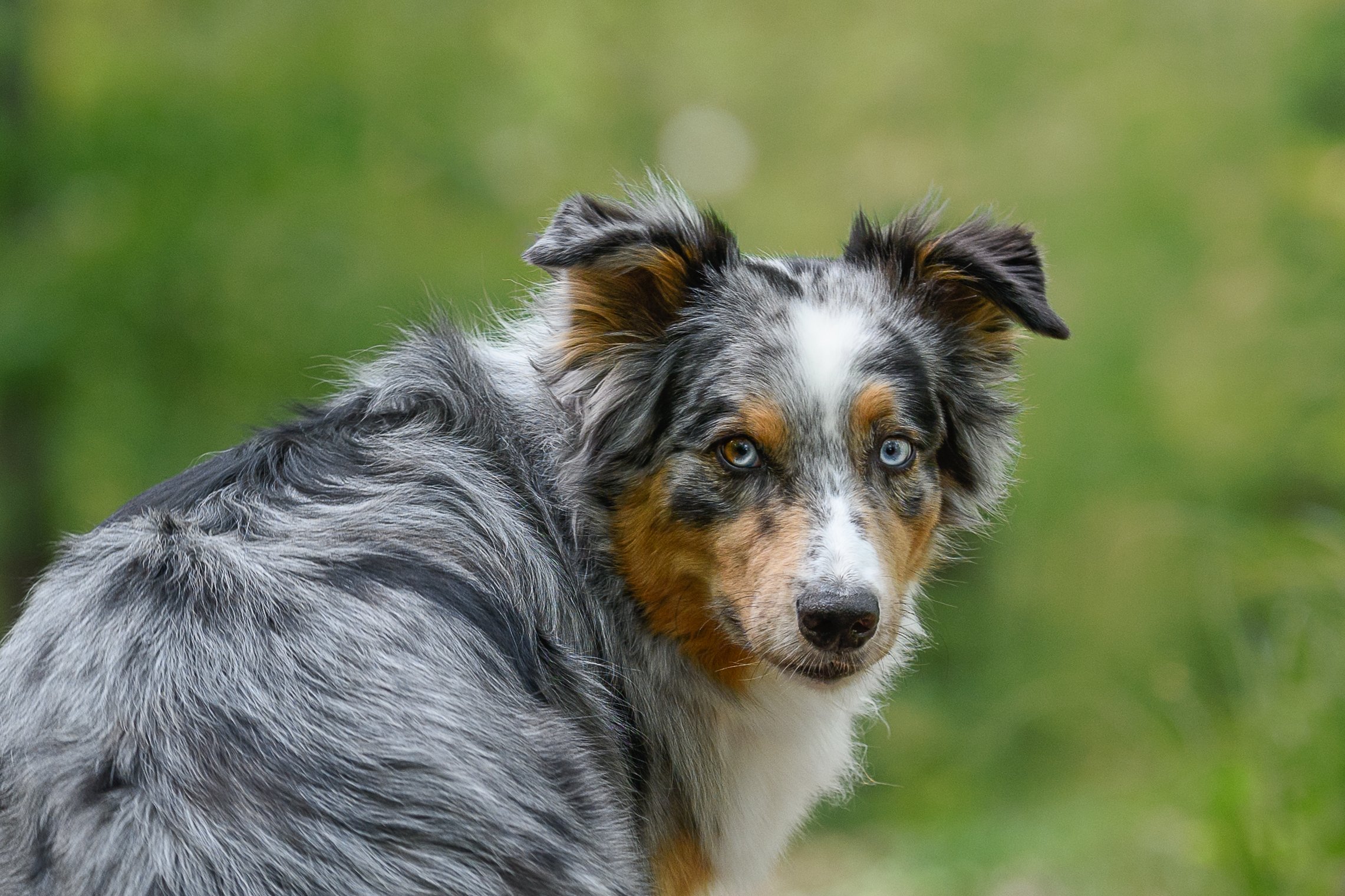 Stephanie Lynne Photography-2740-Edit copy.jpg