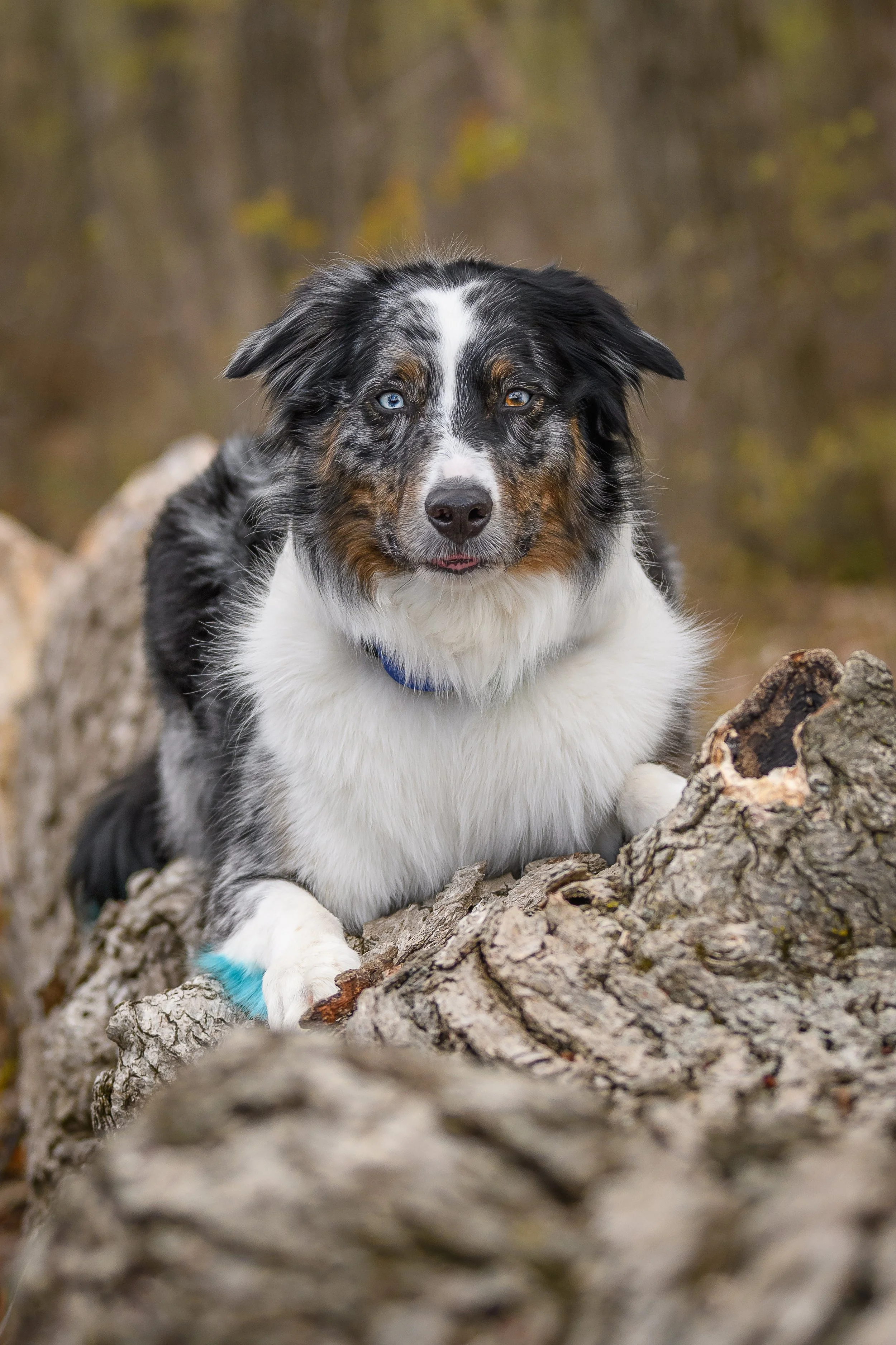 Stephanie Lynne Photography-3132-Edit-Edit copy.jpg