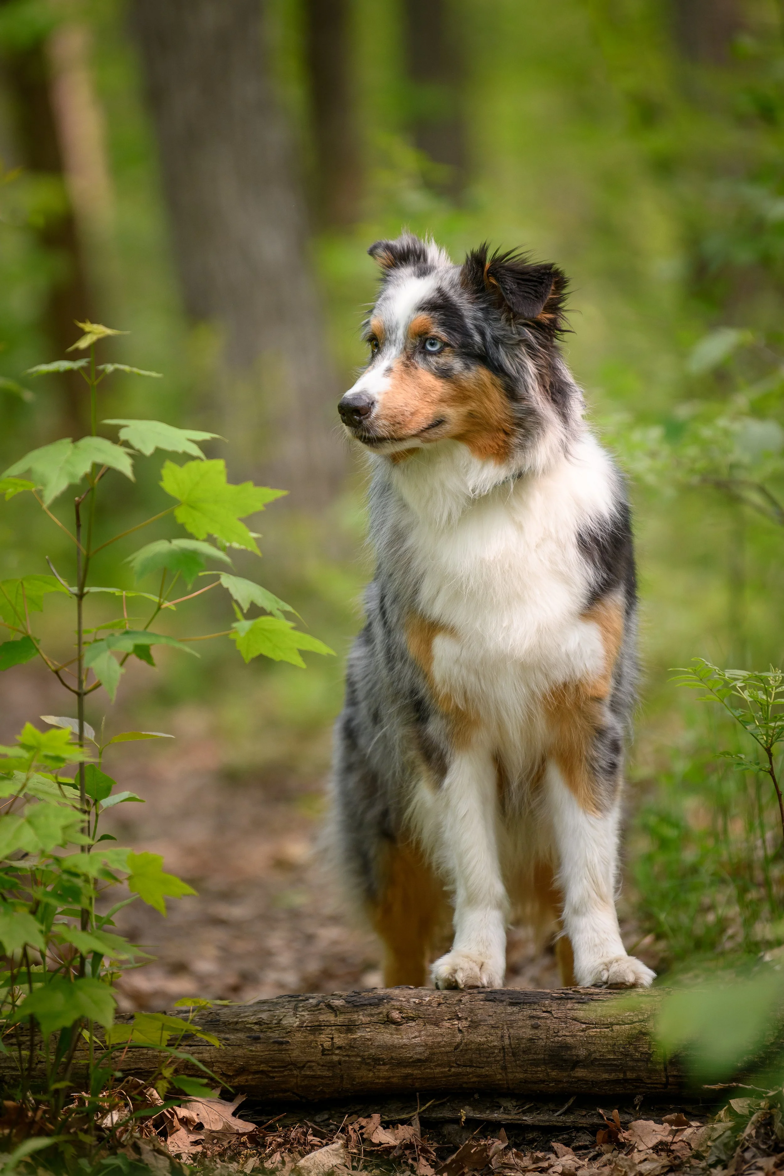 Stephanie Lynne Photography-2781-Edit copy.jpg