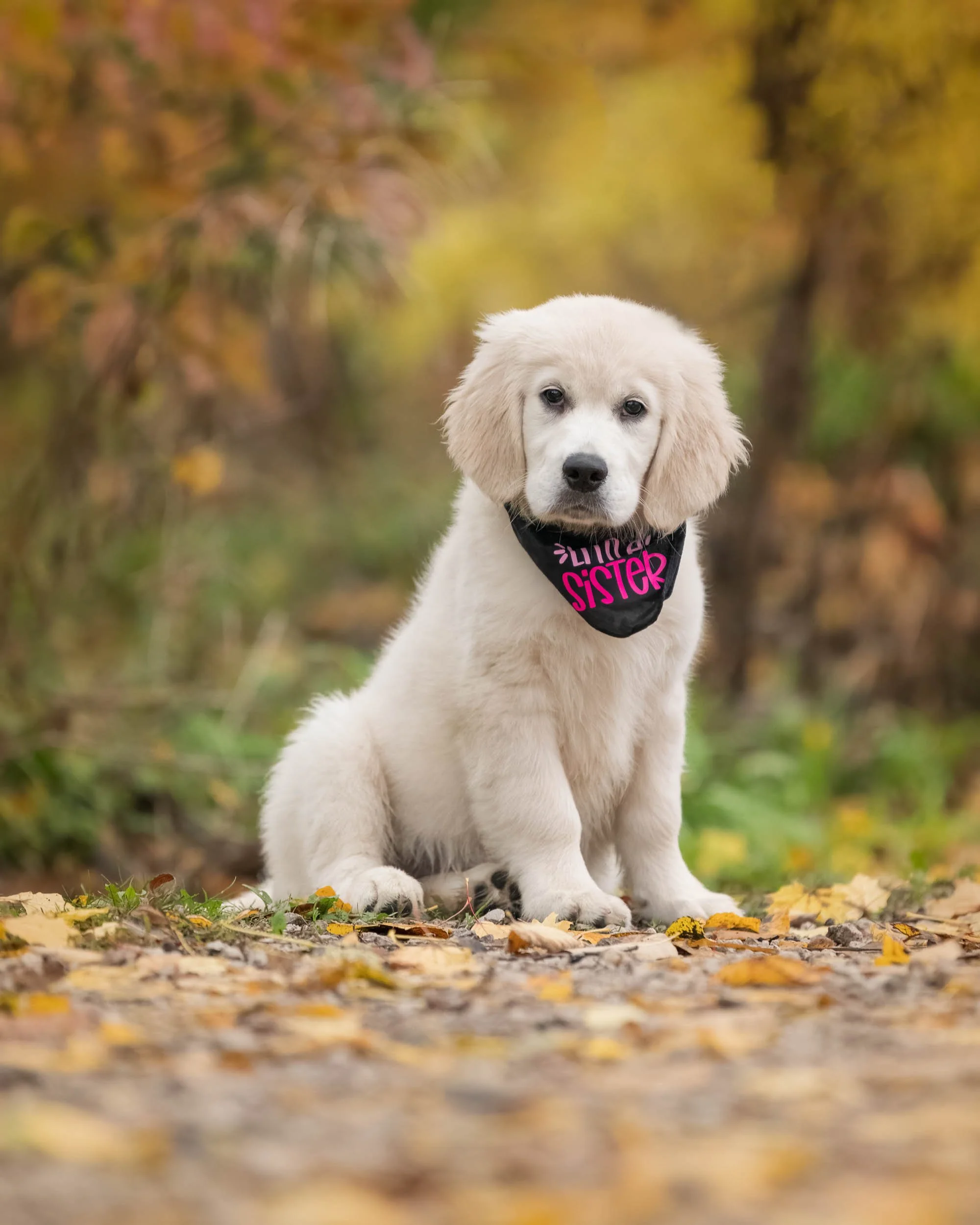 Stephanie Lynne Photography-6212-Edit-Edit copy.jpg