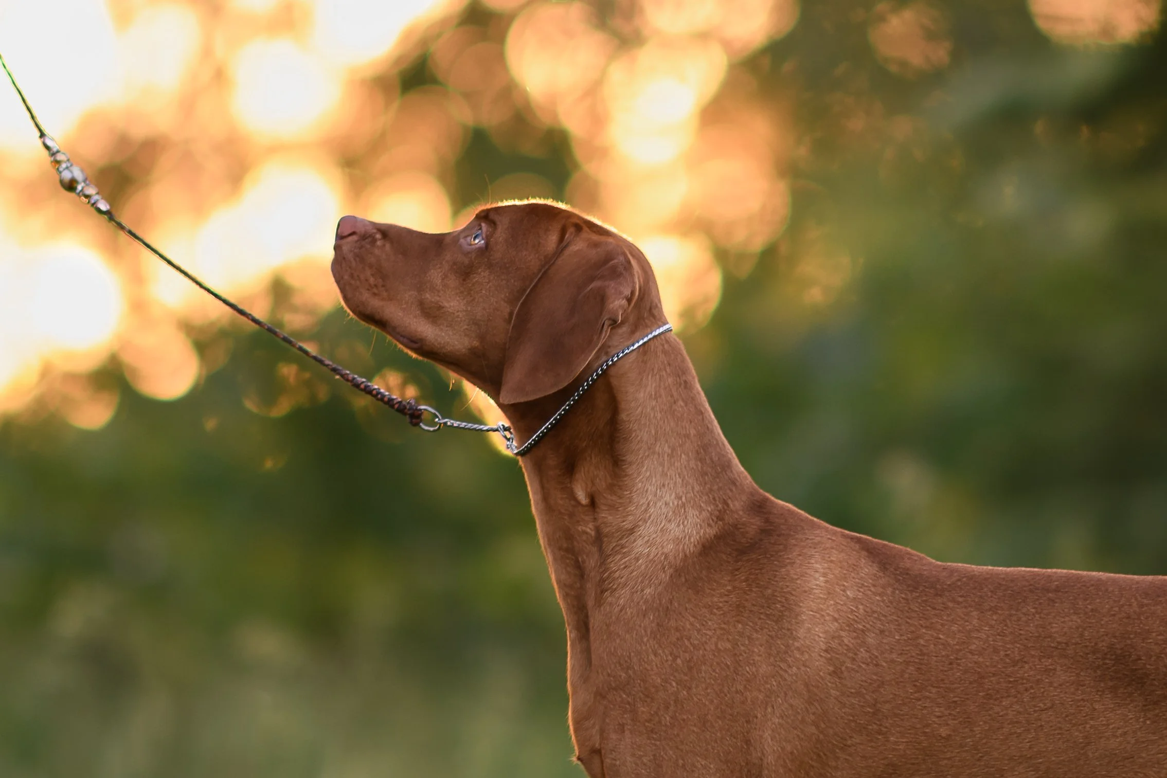 DSC_5731-Edit copy.jpg