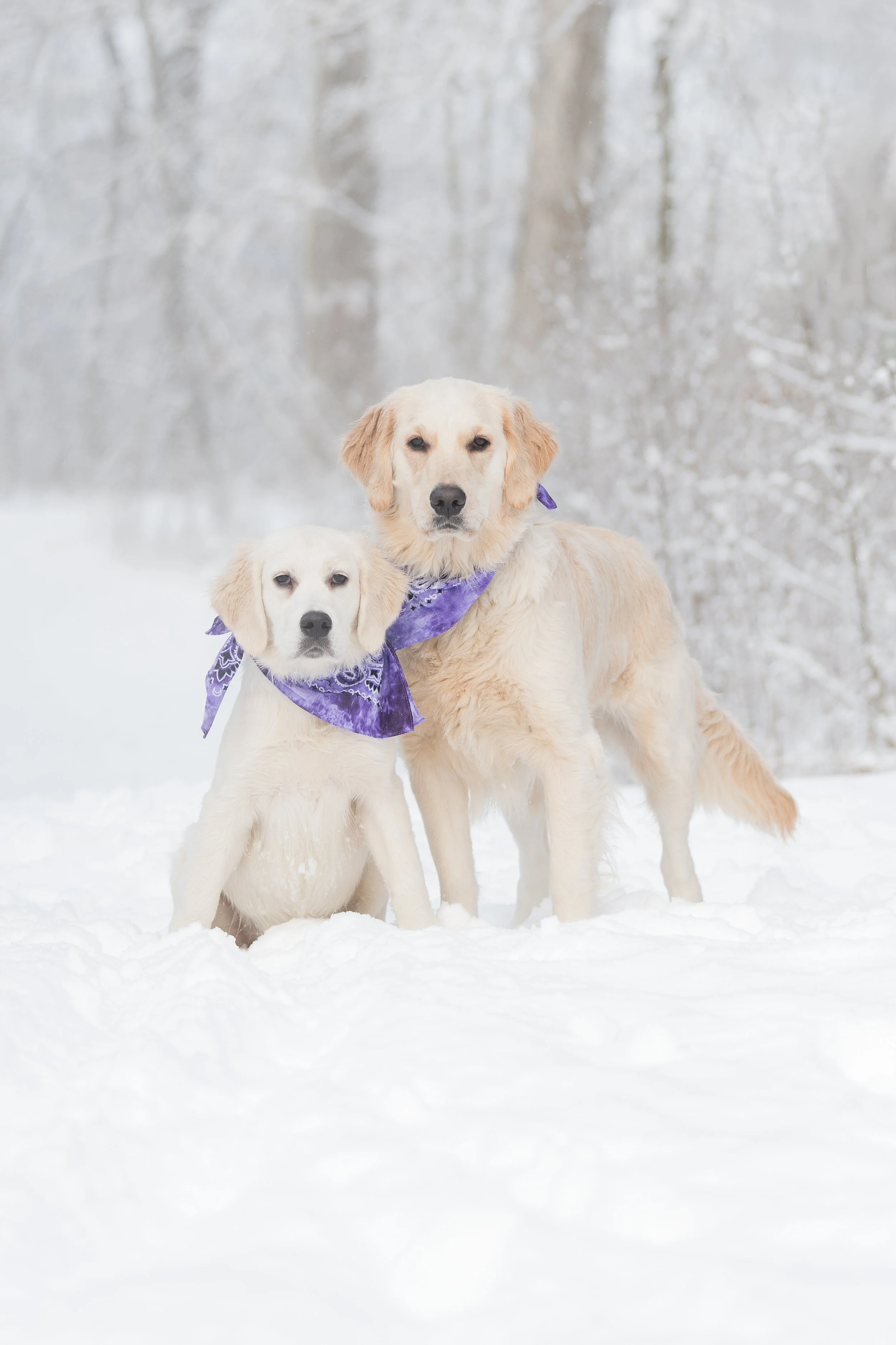 DSC_8011-Edit copy.jpg