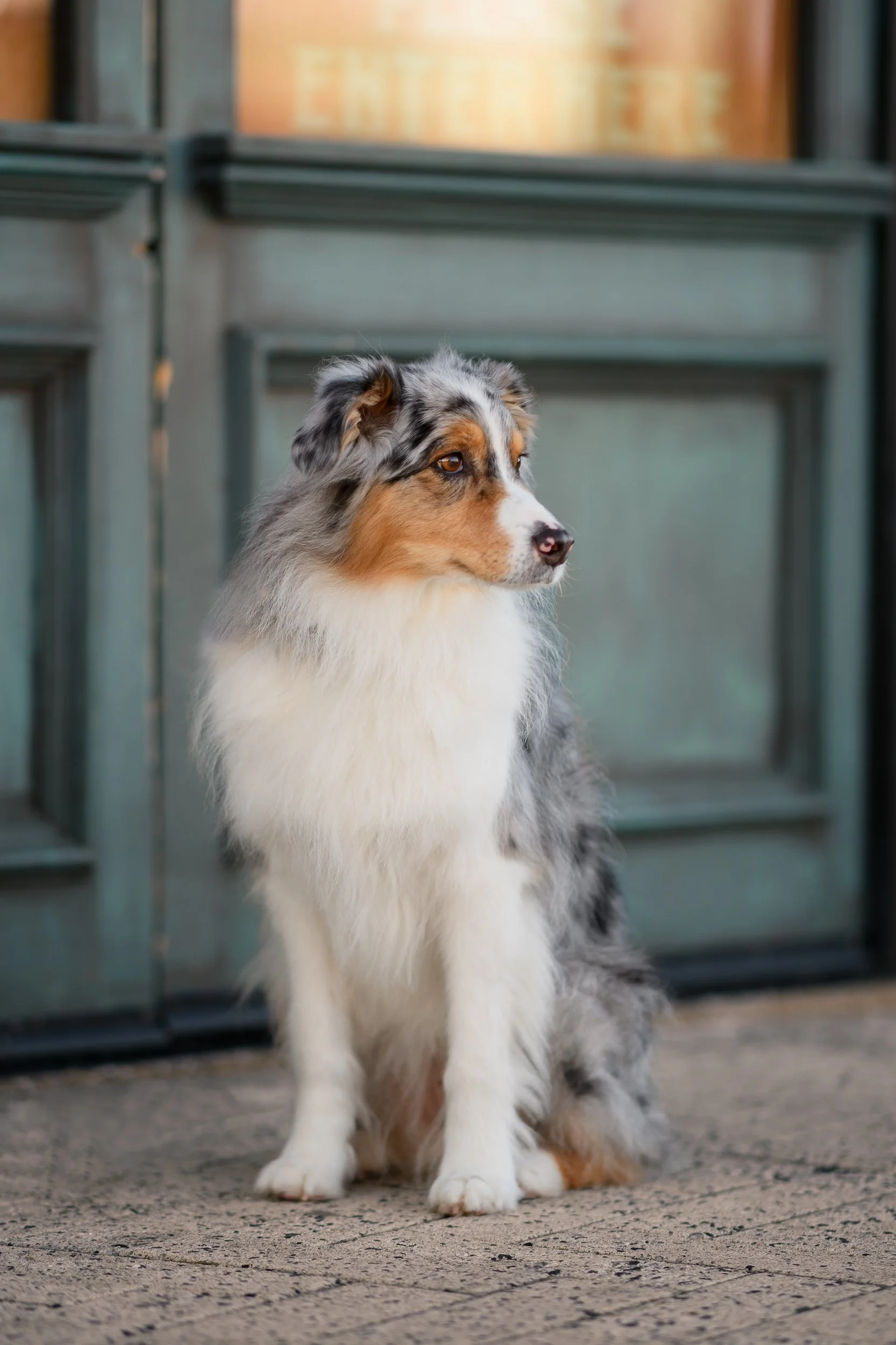 untitled-3601-Edit copy.jpg