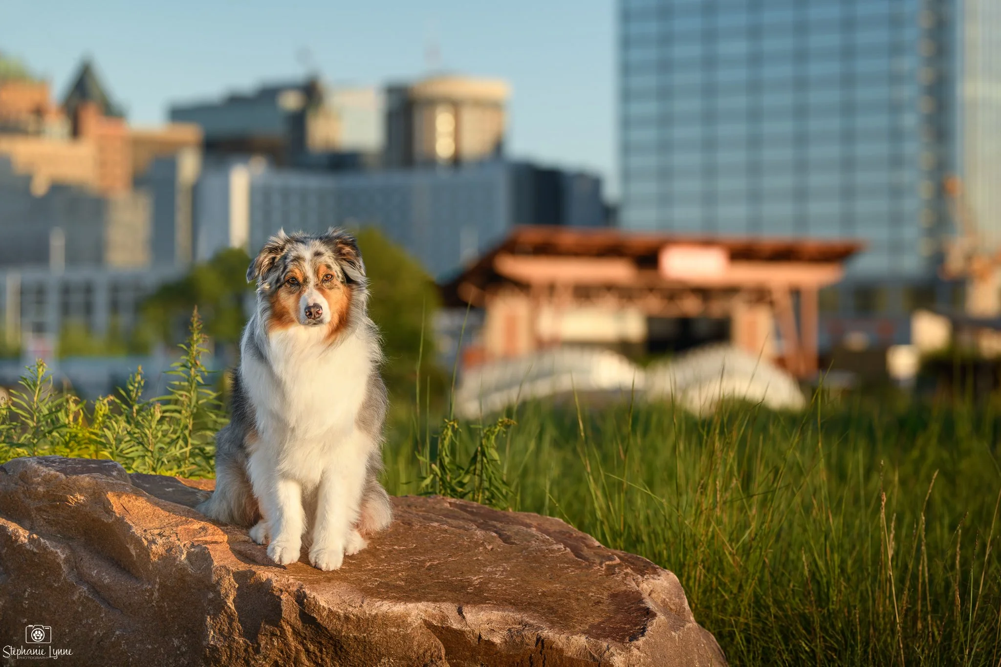 Lakeshore State Park — Downtown Milwaukee Lakefront