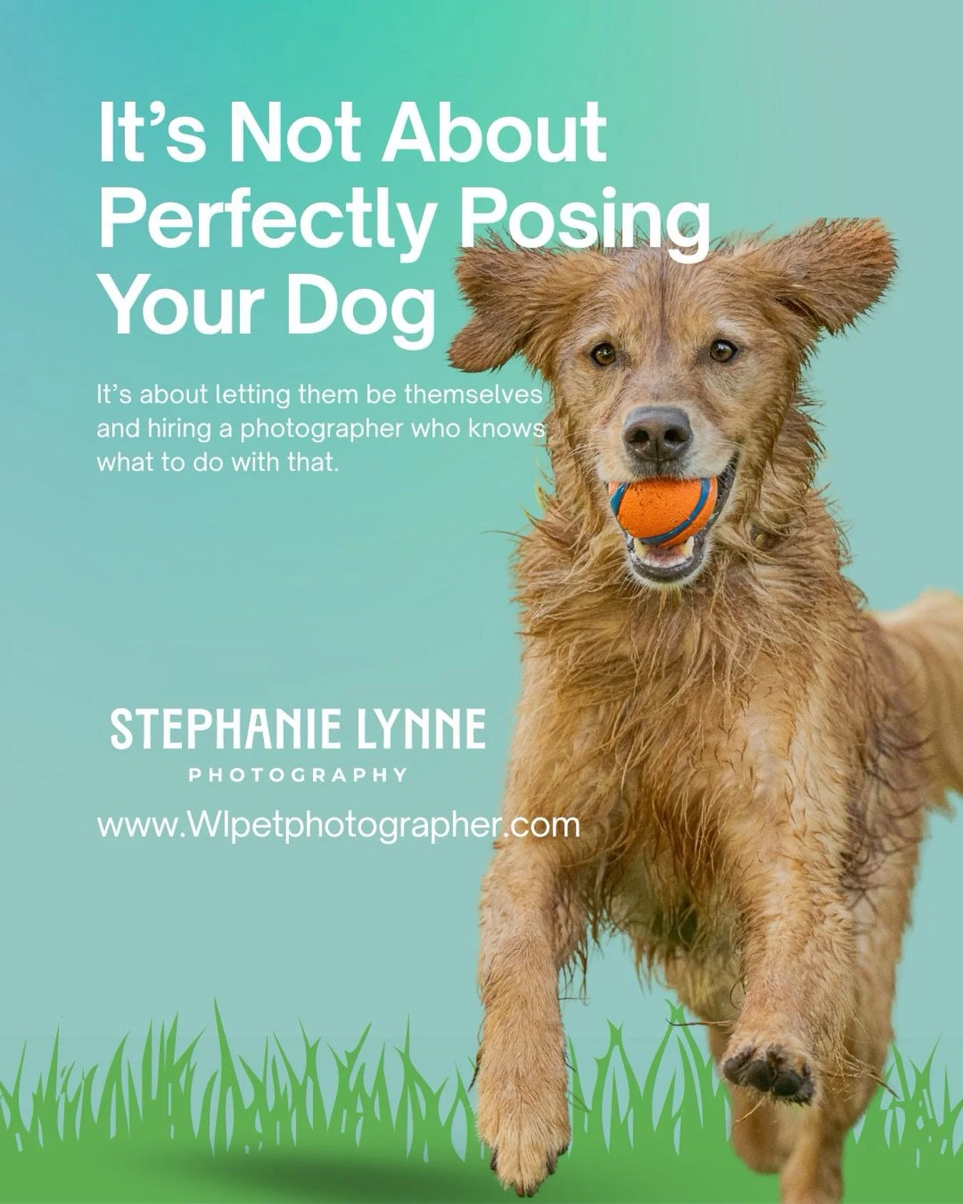 Most people assume dog photography is about getting a dog to sit still and look at the camera.

It&rsquo;s not.

What I&rsquo;m actually paying attention to is completely different:

‣ How your dog moves.
‣ What catches their attention.
‣ When they s