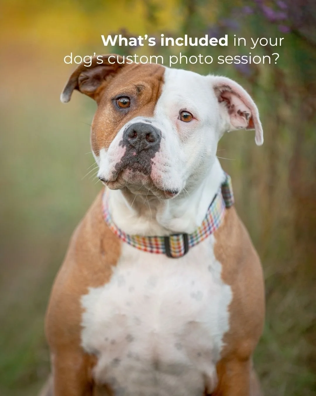Most people aren&rsquo;t sure what happens after the session.

Here&rsquo;s how it works:
&bull; You receive a preview gallery
&bull; You choose a collection that fits what you want
&bull; Your full gallery unlocks
&bull; You use your artwork credit 