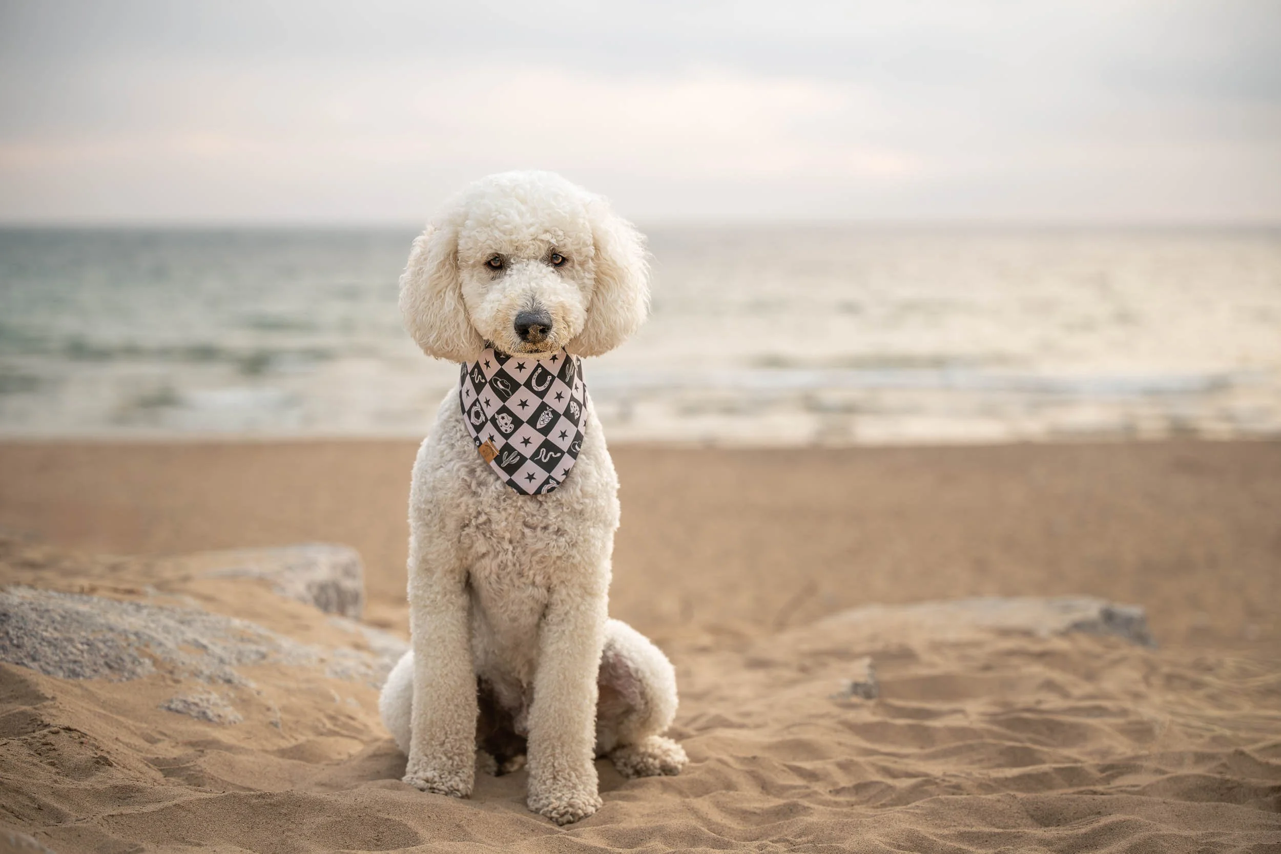 Stephanie Lynne Photography-0586-Edit.jpg