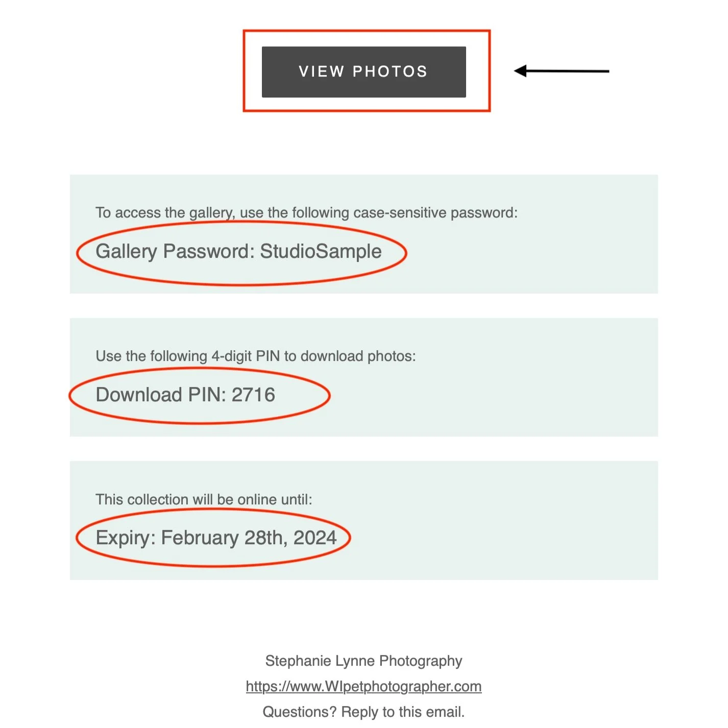 What to do when you receive an online gallery link from Stephanie Lynne Photography