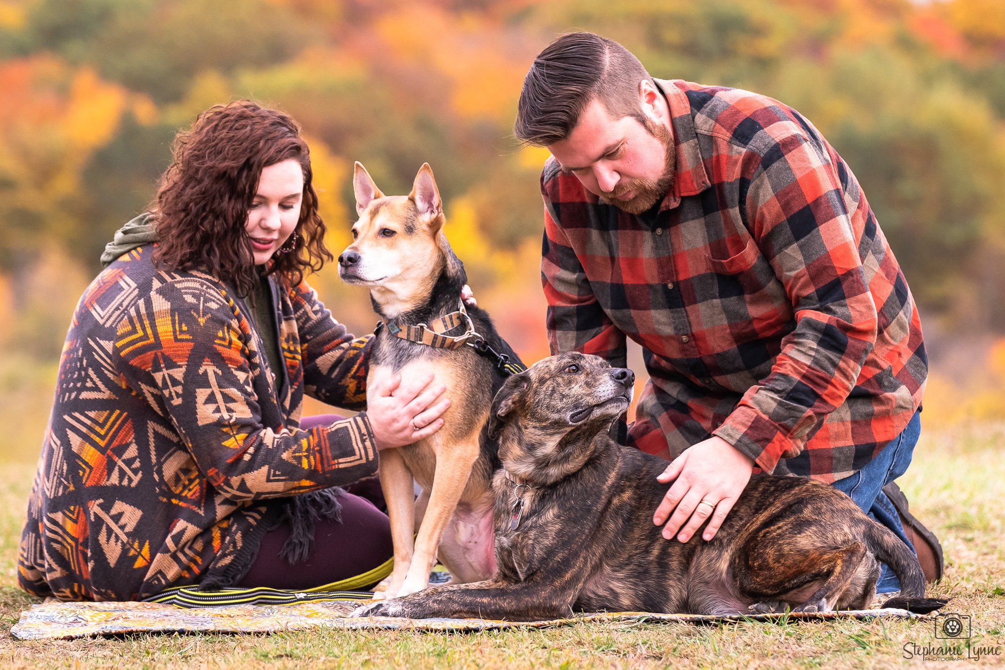 A family photo session with two dogs