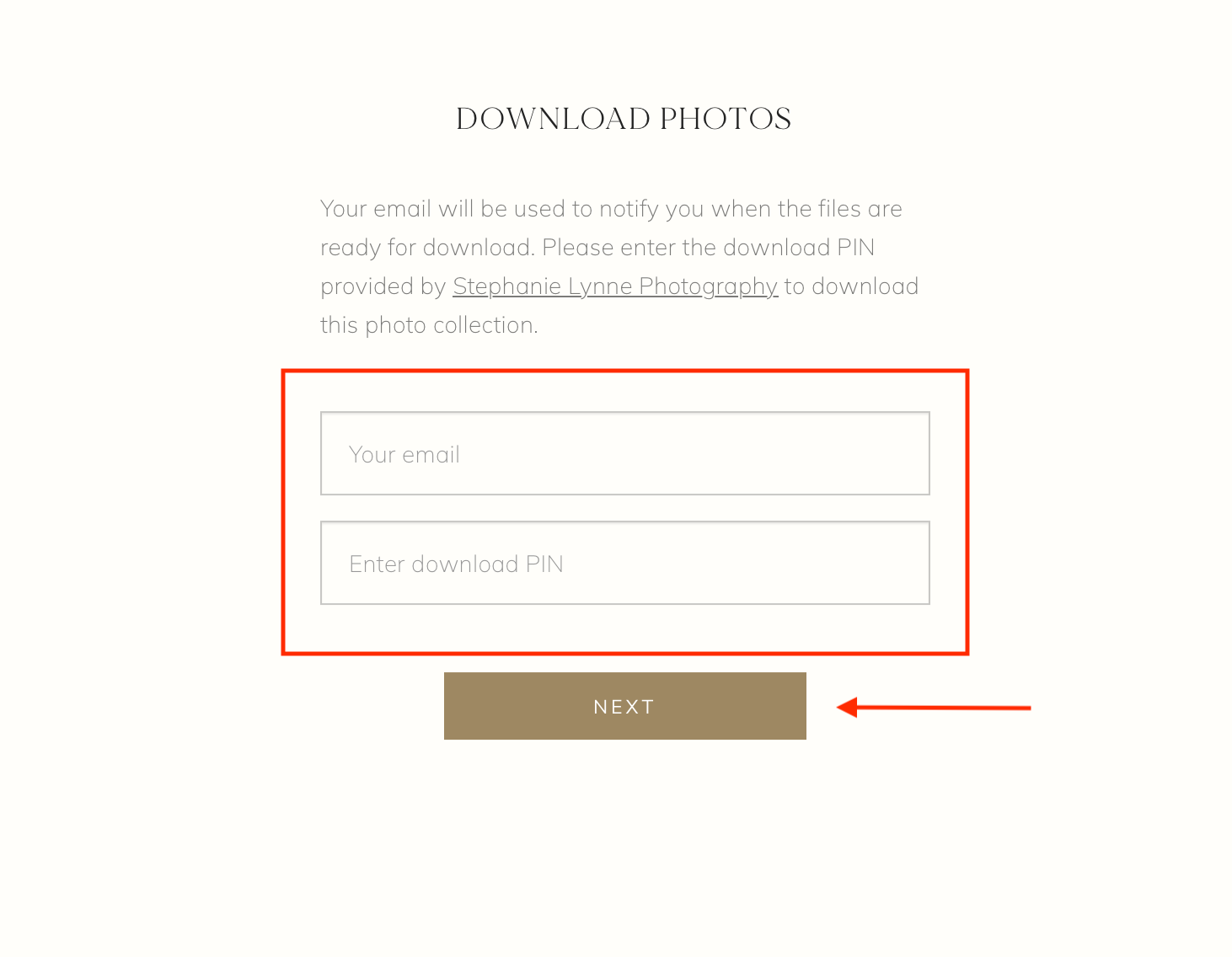 entering your email address and PIN to access downloads in Pixieset gallery from Stephanie Lynne Photography