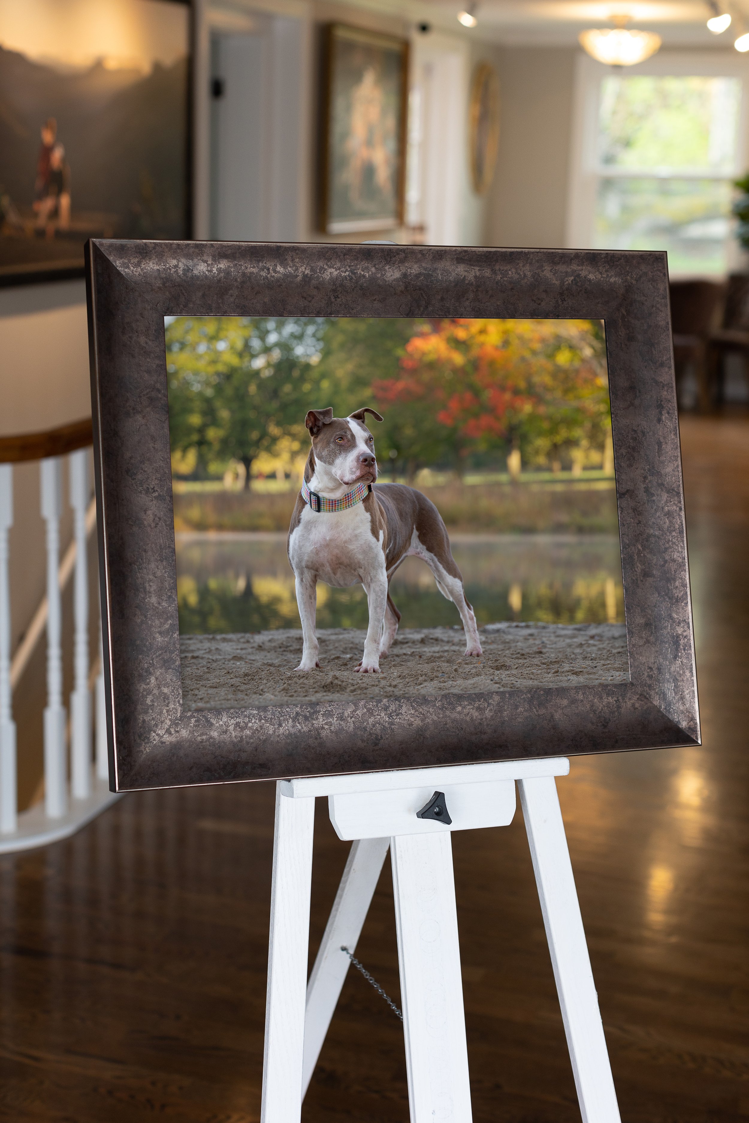 A framed photograph of a dog standing outdoors near a body of water, with trees in autumn color in the background, displayed on a white easel inside a room with wooden floors and art on the walls.