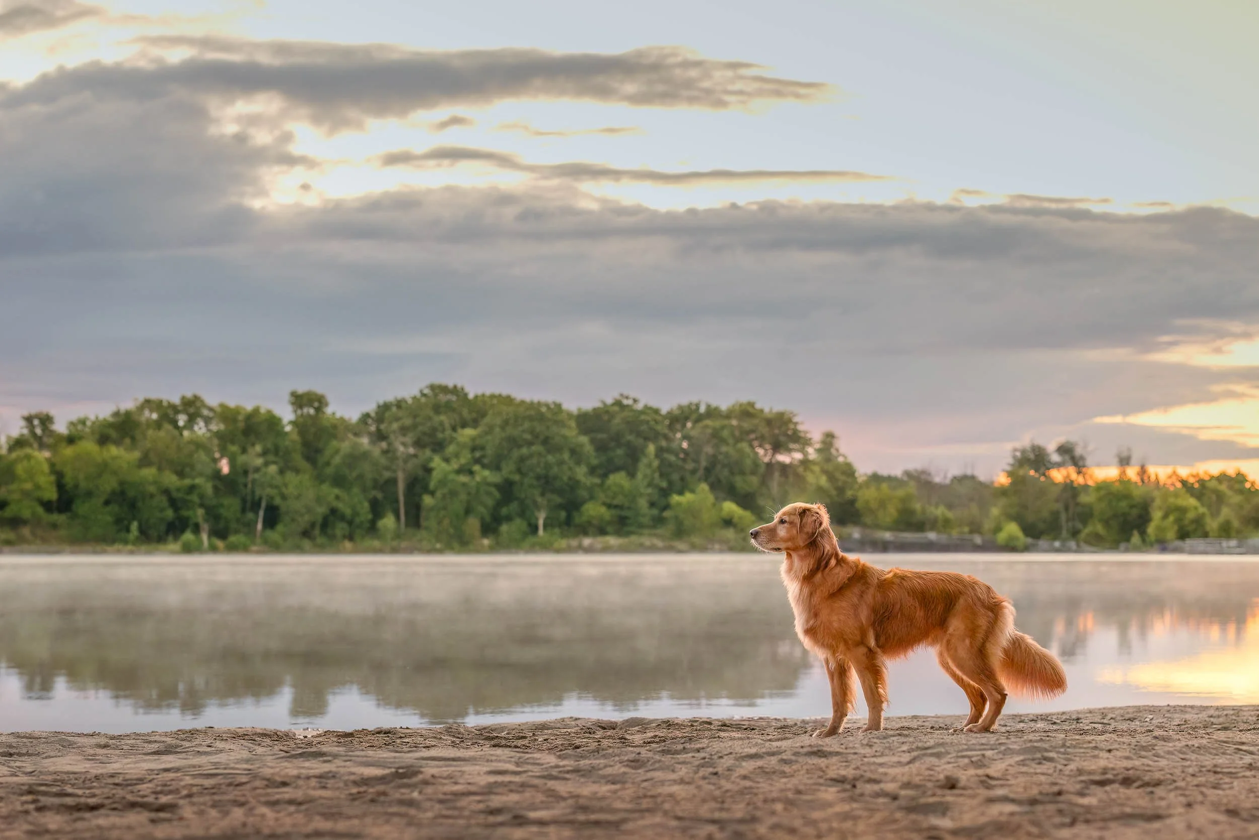 Stephanie Lynne Photography-9247-Edit-Edit-Edit-Edit.jpg