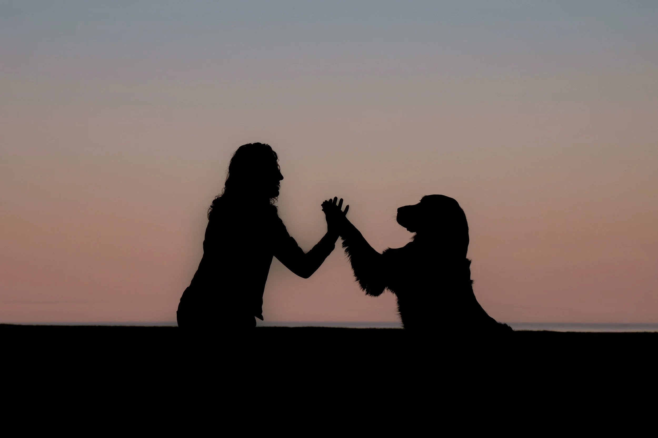 A dog giving a woman a high five in silhouette at sunset at Lake Vista Park in Oak Creek, Wisconsin