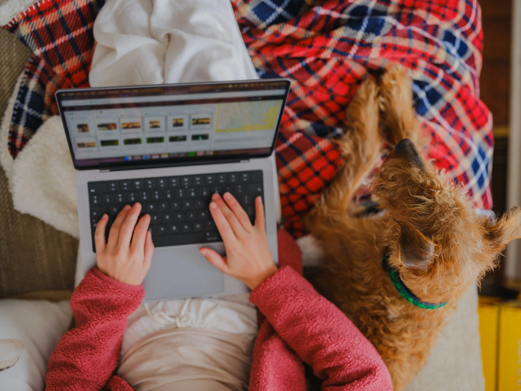 virtual pet photography viewing and ordering software