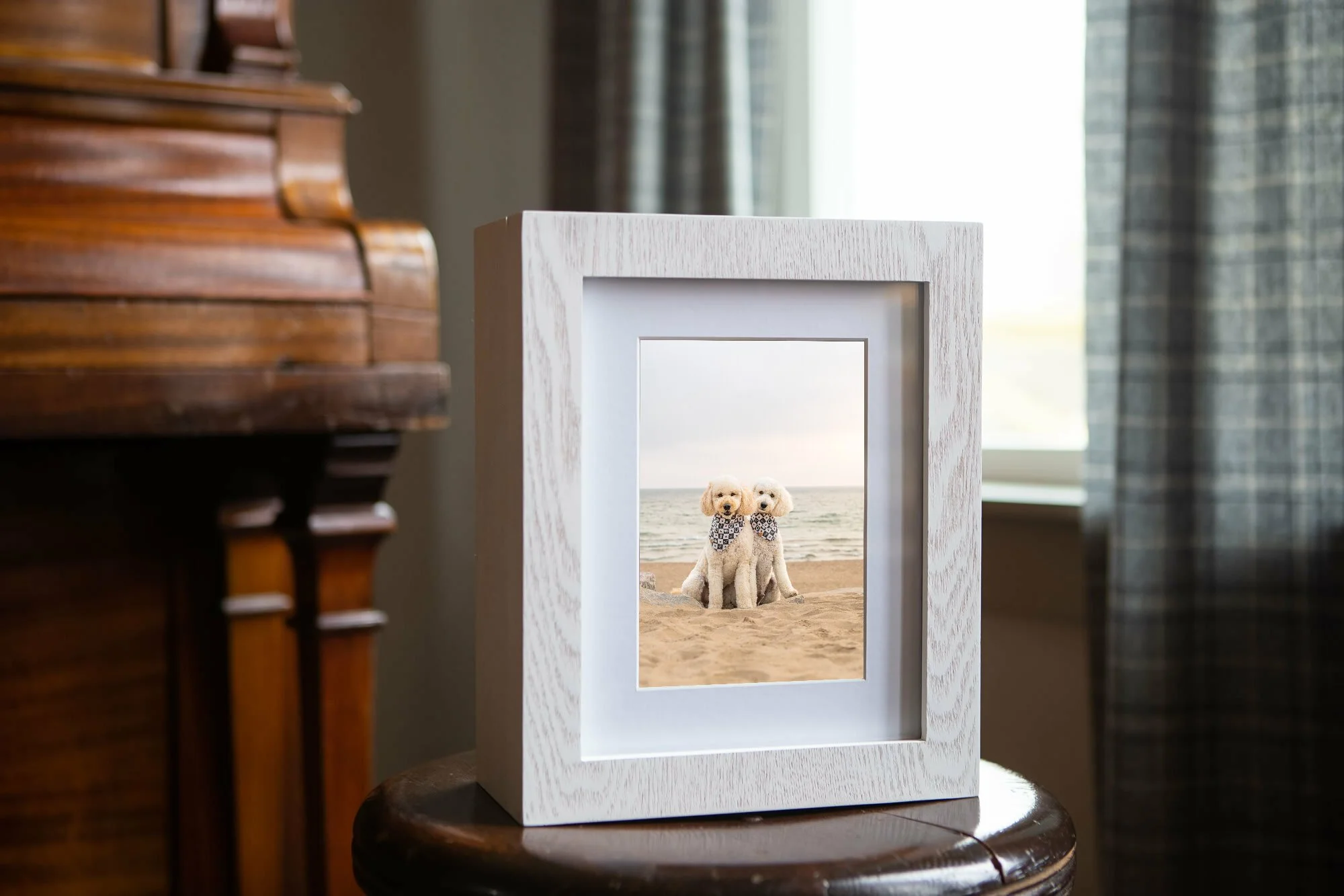 Picture of two light-colored dogs sitting on a beach, framed inside a white wooden picture frame placed on a wooden stool.