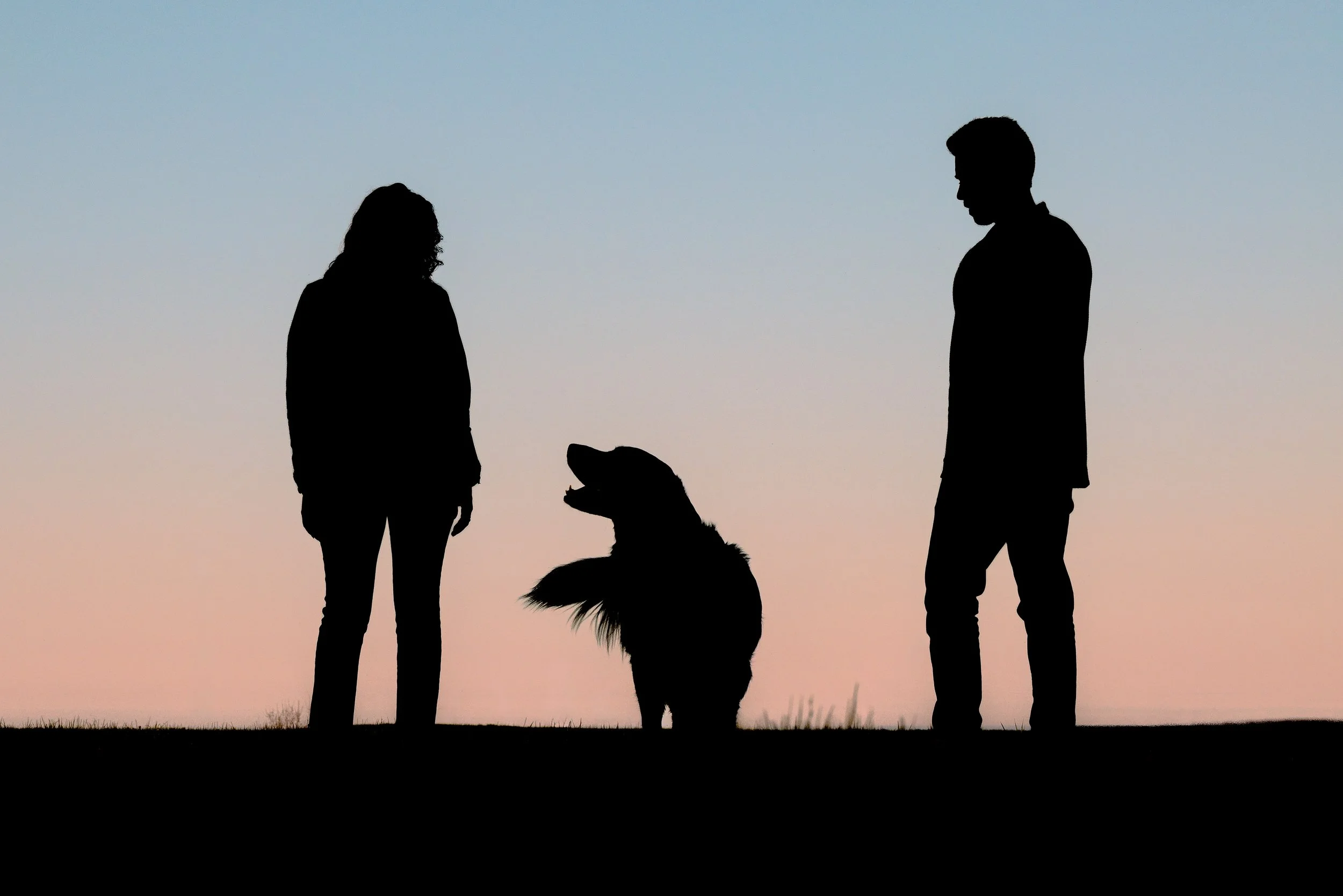 Silhouette of a woman, a dog, and a man standing outdoors during sunset or sunrise.