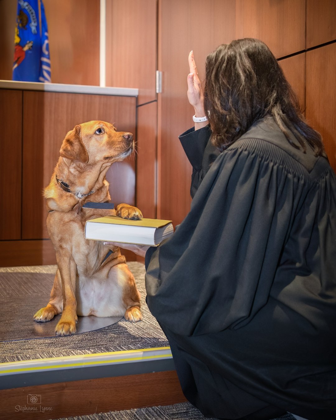 Pepper the Waukesha County Victim Assistance Dog