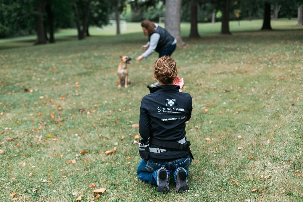 a woman photographing a boxer dog in delafield, wisconsin