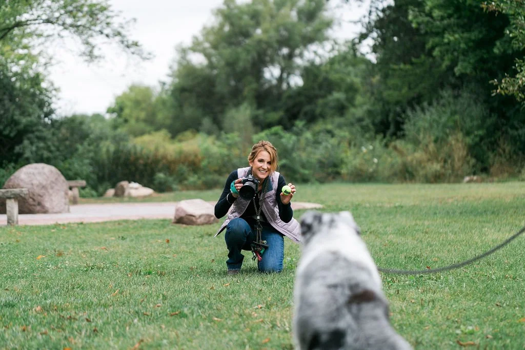 squeaky tennis balls are a great way to get your dog's attention during a photo shoot
