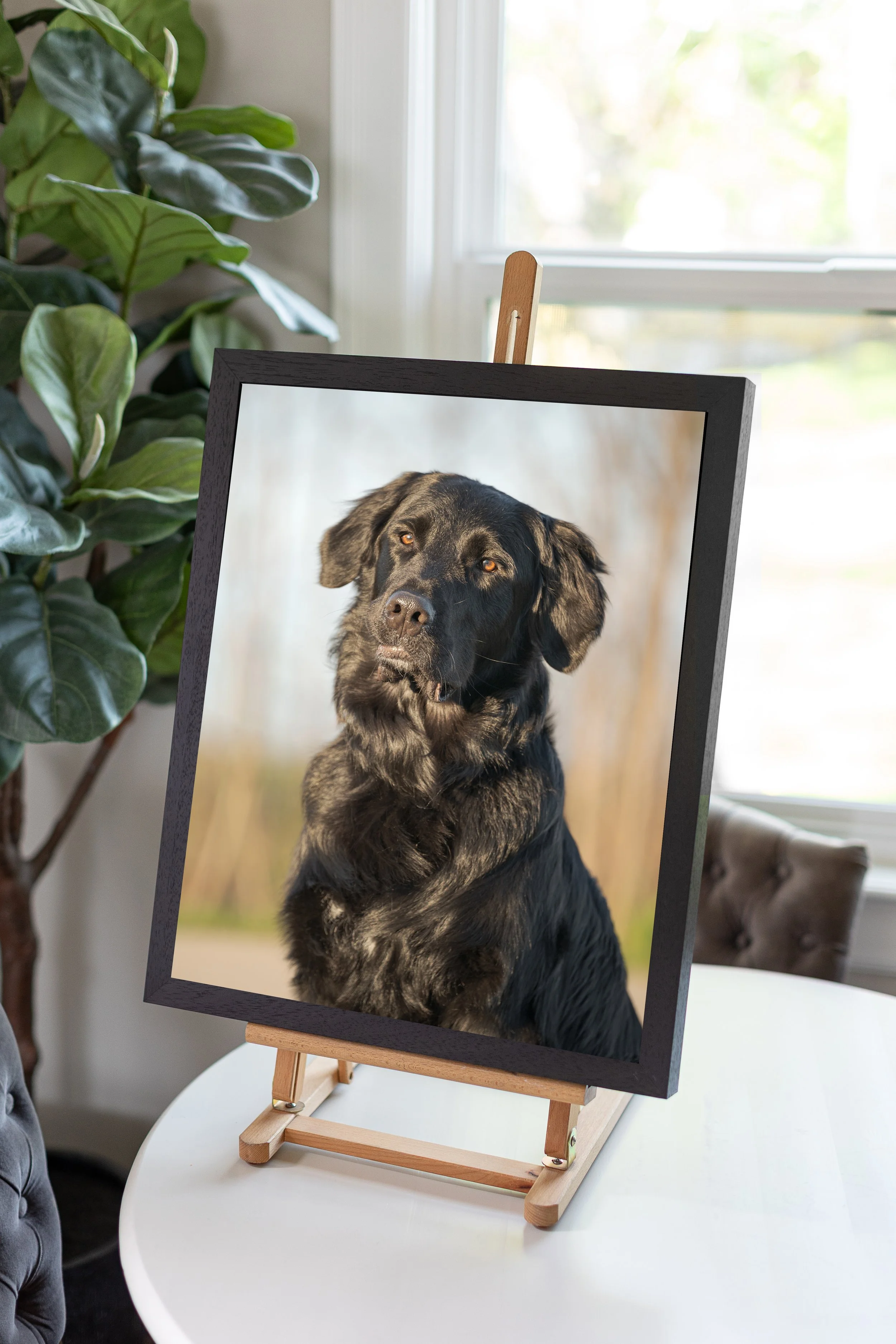 Photograph of a dog portrait on a small wooden easel, placed on a white dining table near a large green leafy plant and a window in the background.