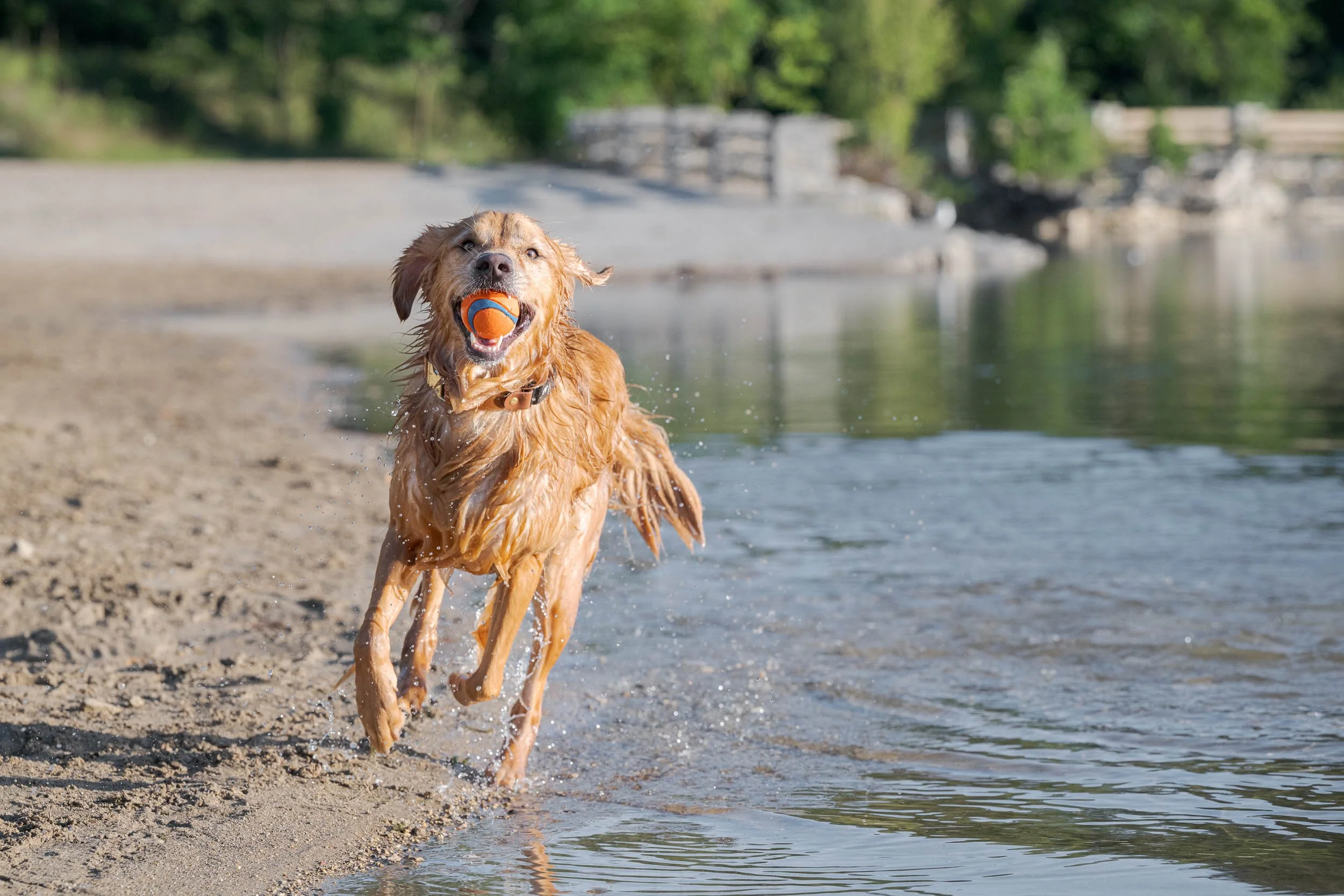 Stephanie Lynne Photography-9616-Edit.jpg