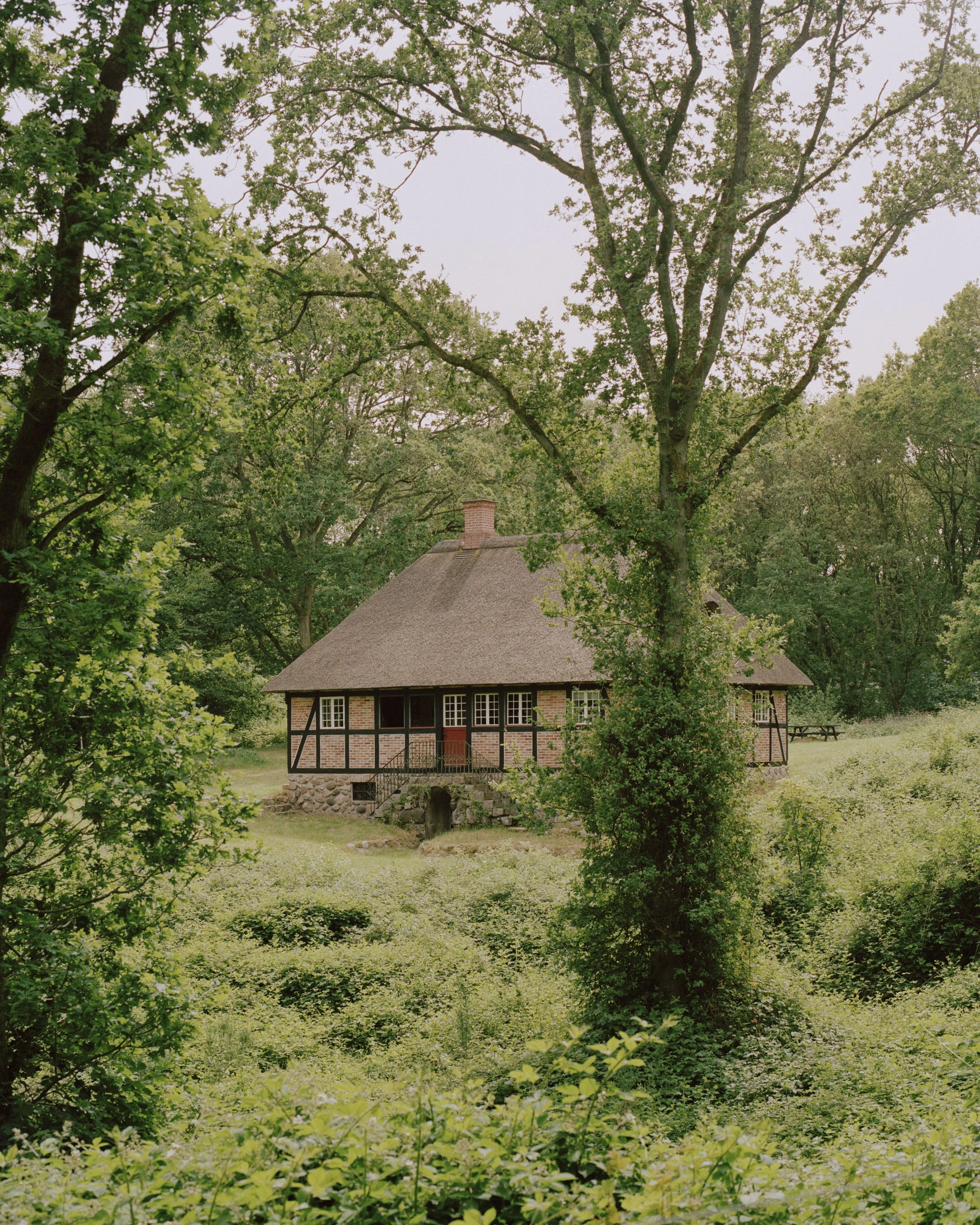 the world of interiors