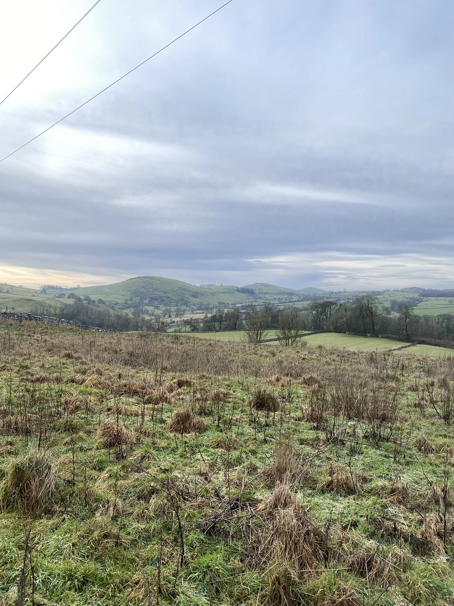 Hartington Walk and Wild Swim