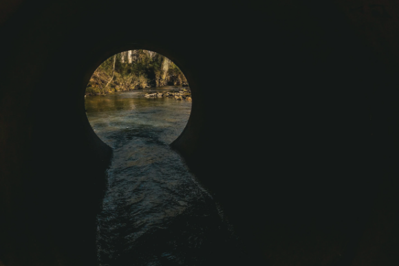 Is Sewage Really Everywhere?