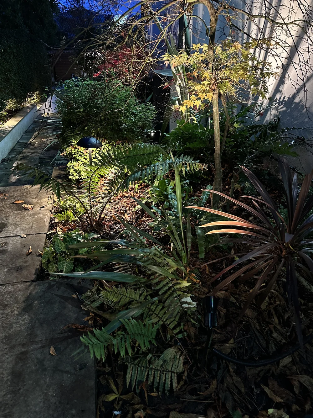 IMG_3367.jpeg