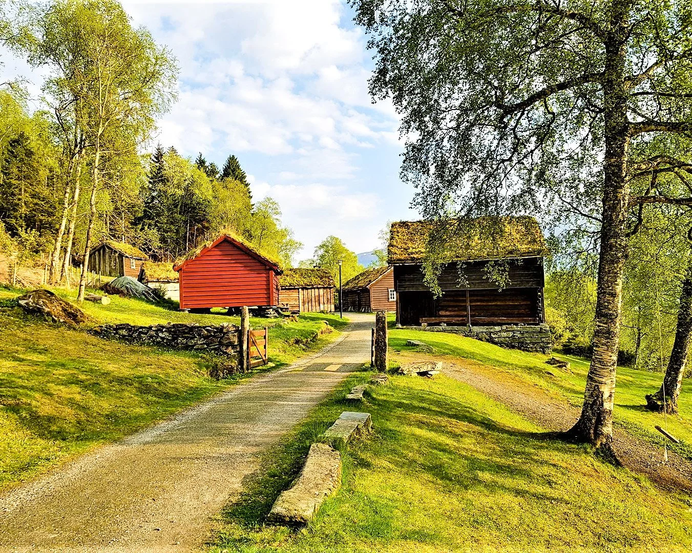 Volda Bygdetun, vår Odd Kåre_edited.jpg